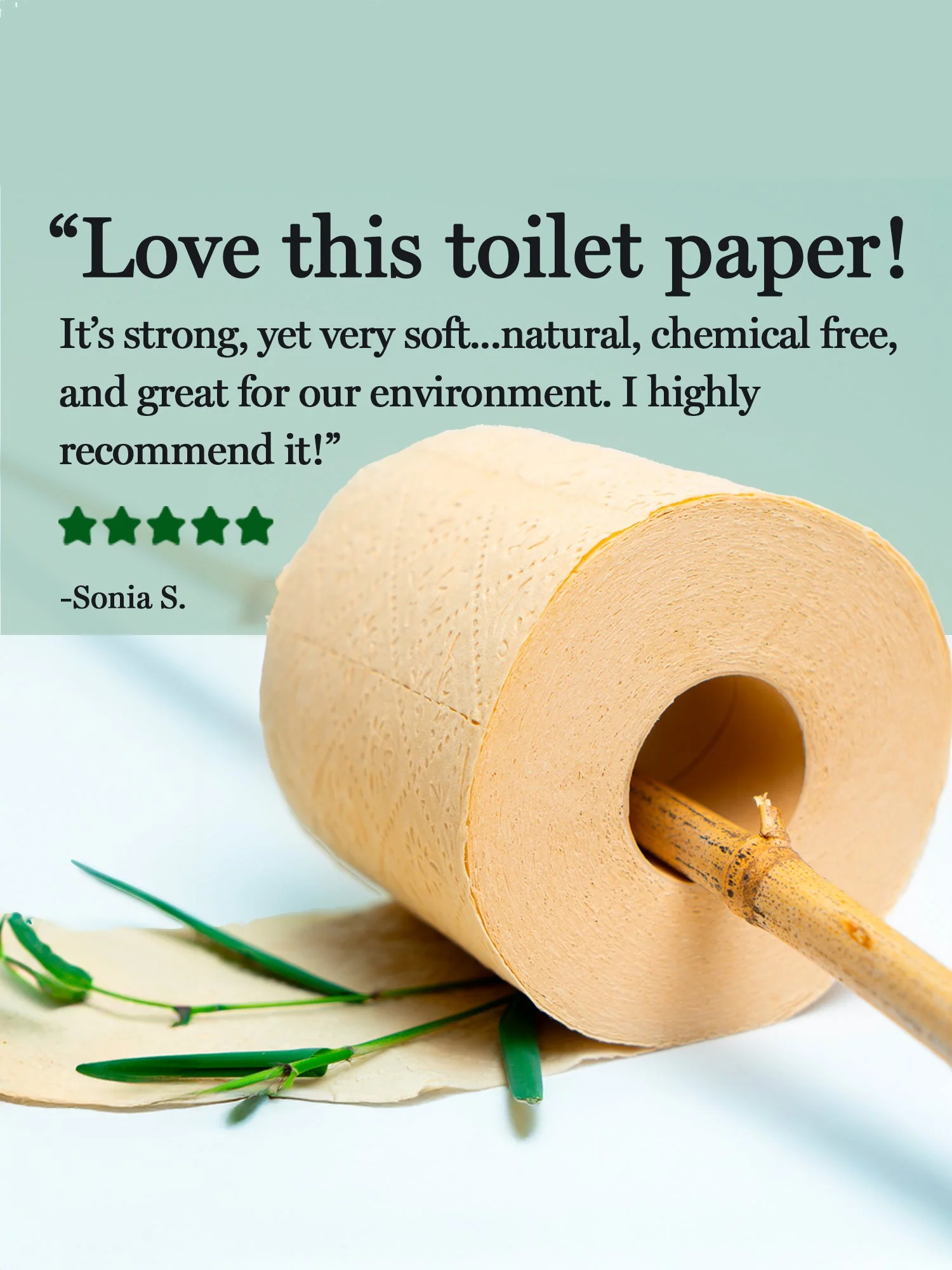 Panda Eco Paper | Bamboo Toilet Paper - Image 9