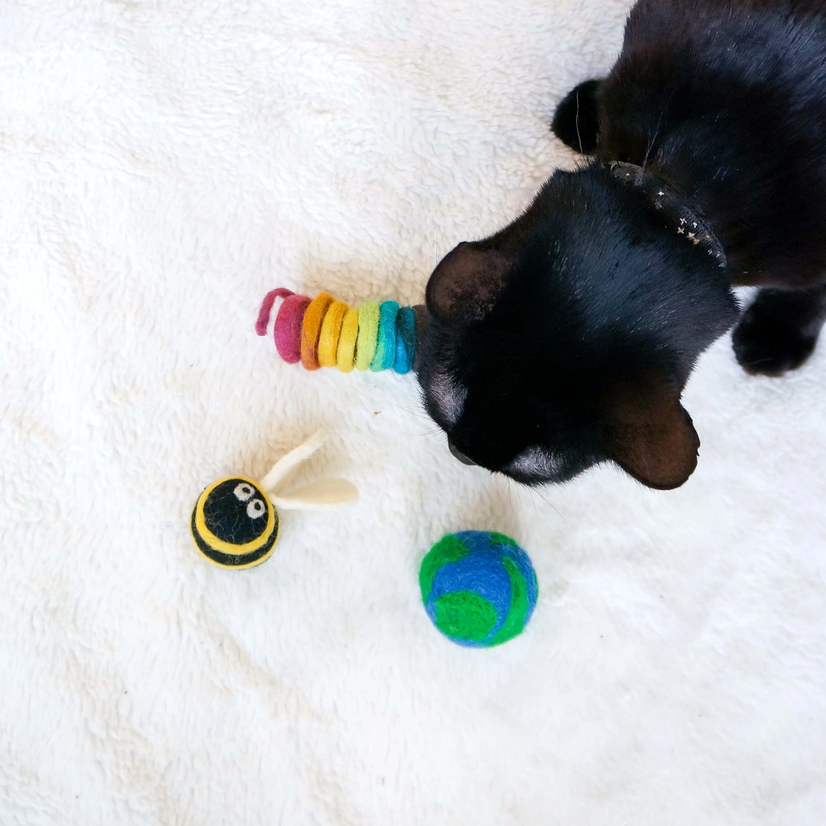 Paws For The Planet - Set of 3 - Image 2
