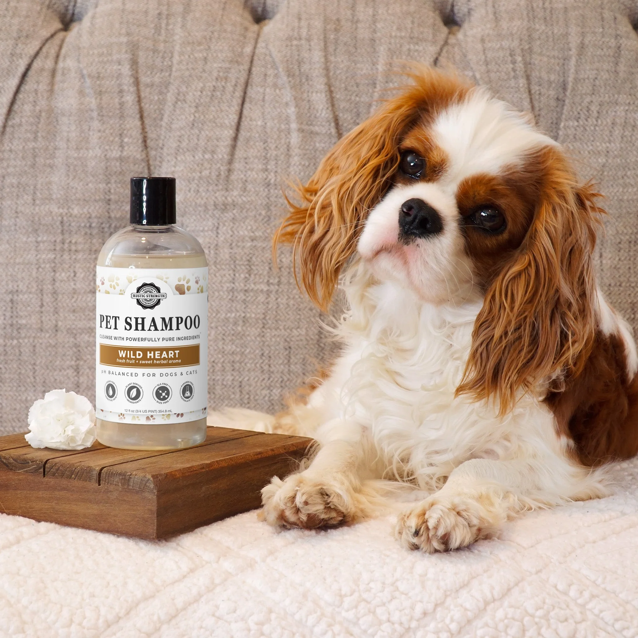 Pet Shampoo | Soothing & Deodorizing | Wild Heart - Image 2