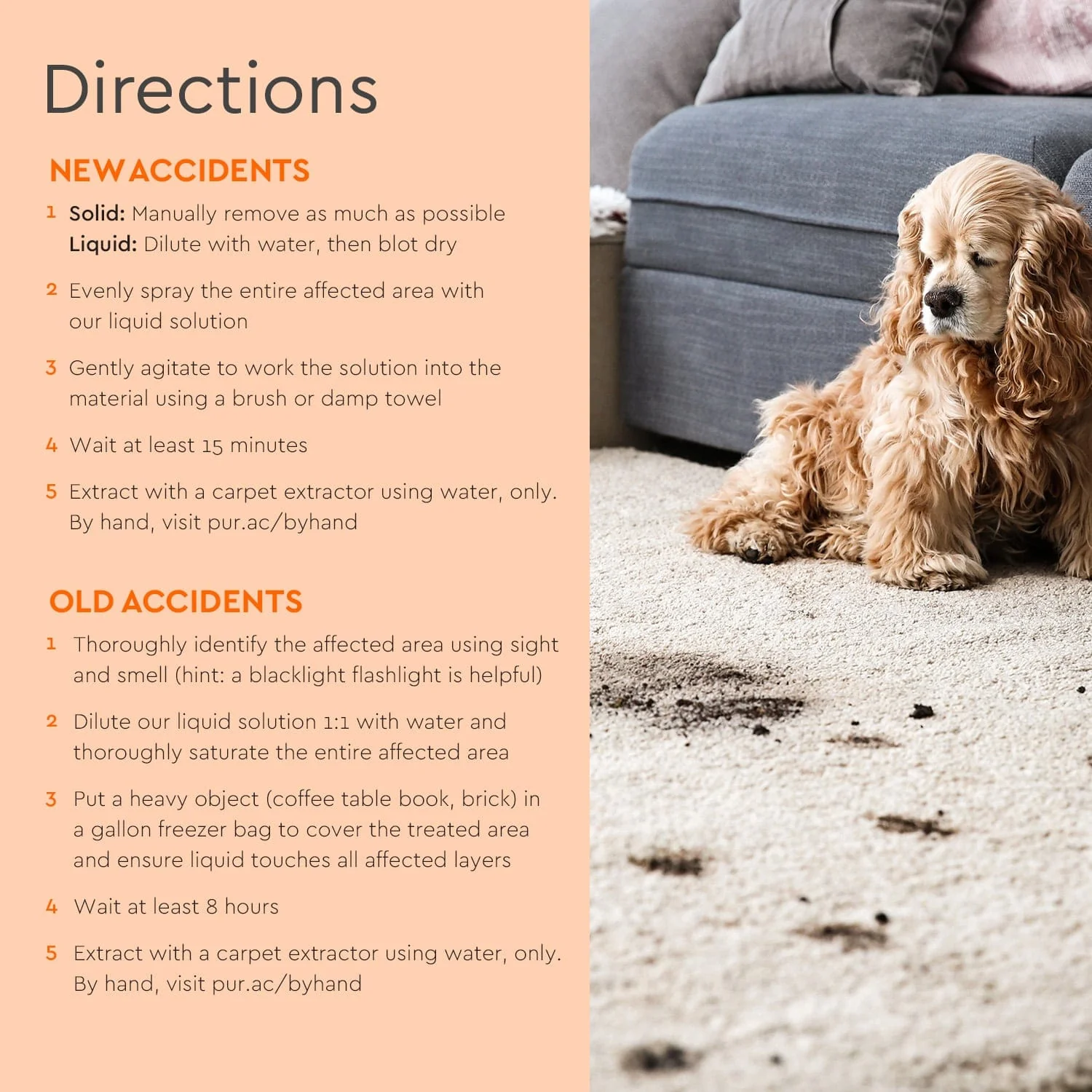 Pet Stain & Odor Remover - Image 4