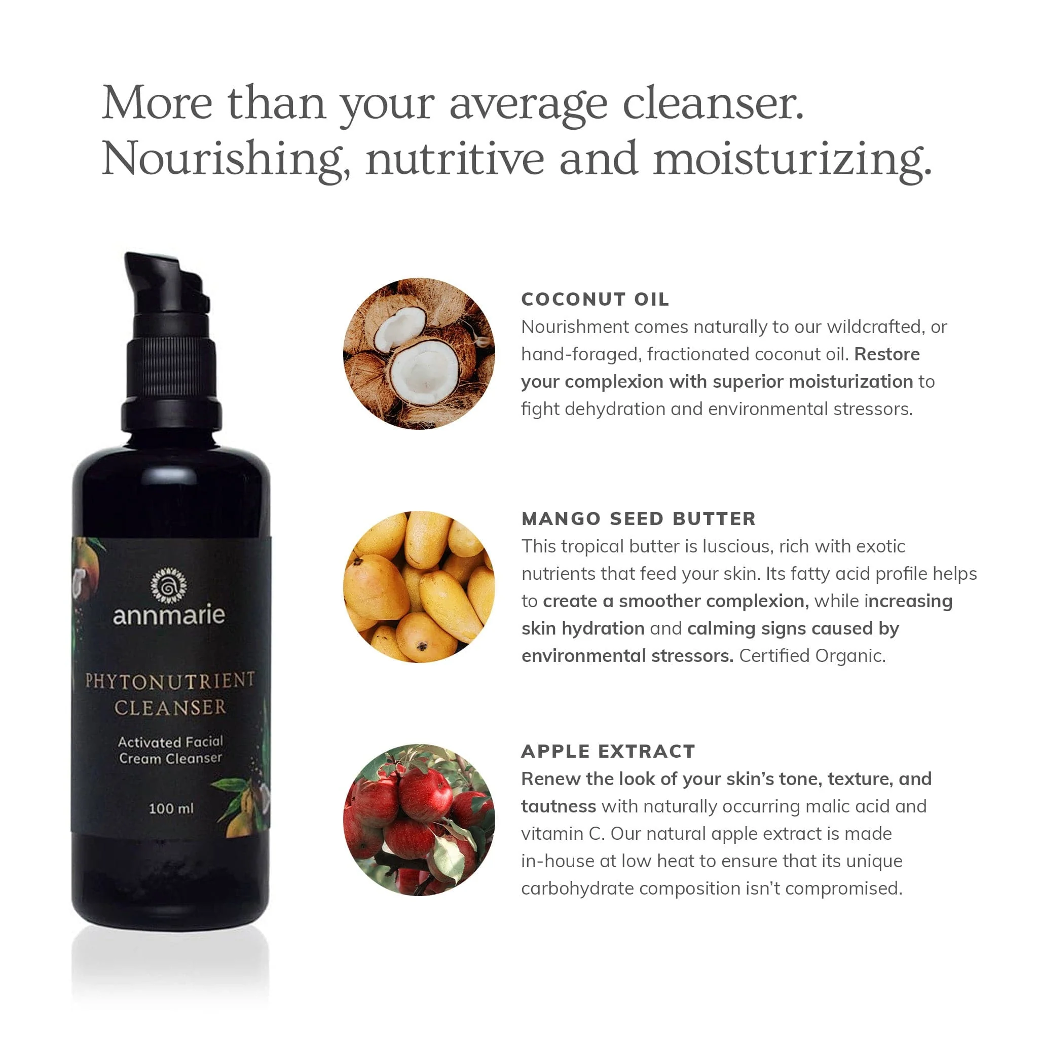 Phytonutrient Cleanser - Activated Facial Cream Cleanser (100ml) - Image 2