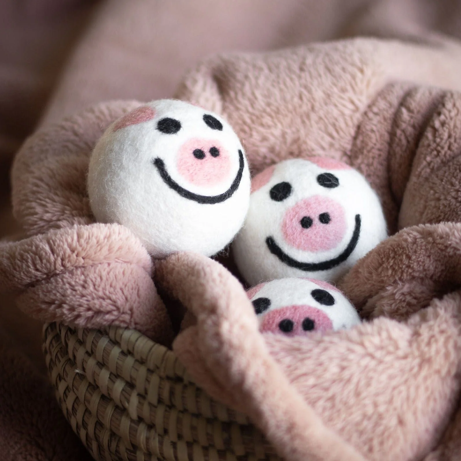 Pig Trio - Image 4