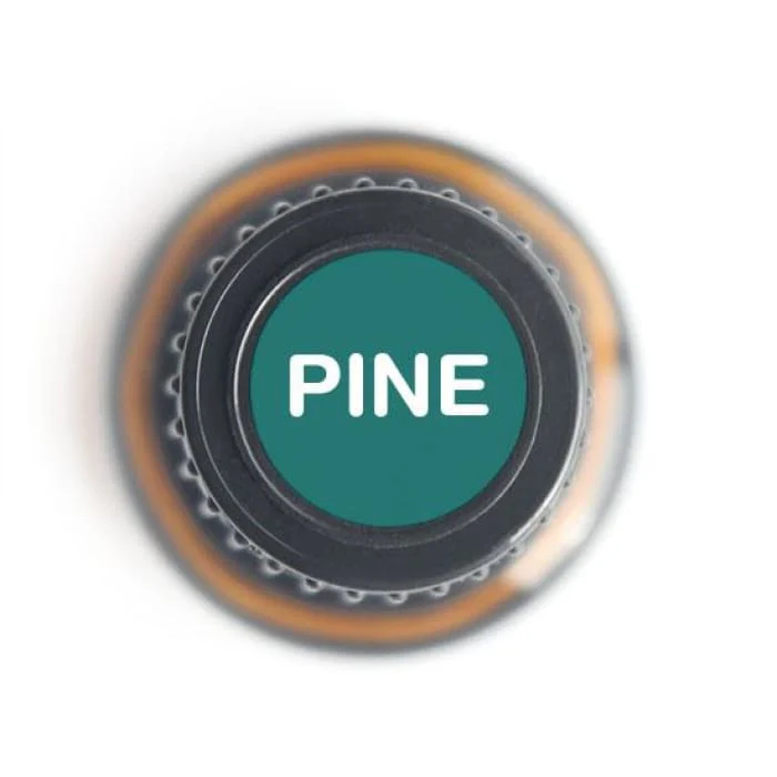 Pine Pure Essential Oil - 15ml - Image 2