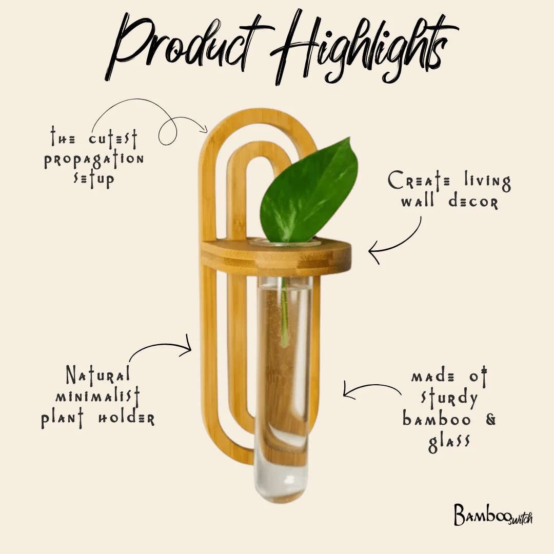 Propagation Wall Planter - Image 3