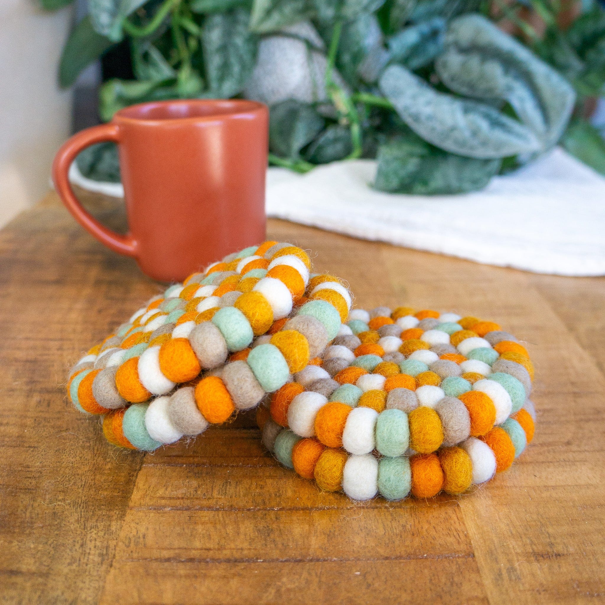 Pumpkin Patch Eco Coasters - Image 5