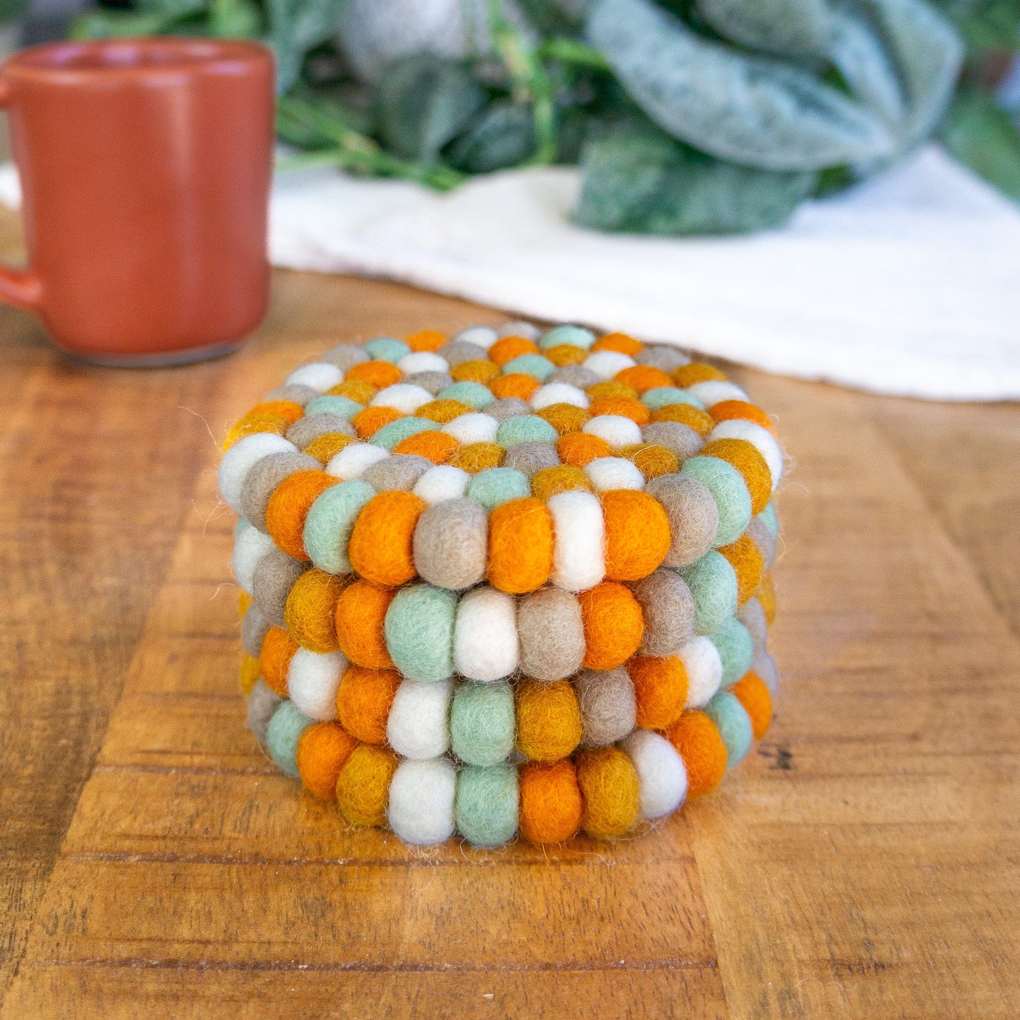 Pumpkin Patch Eco Coasters - Image 8