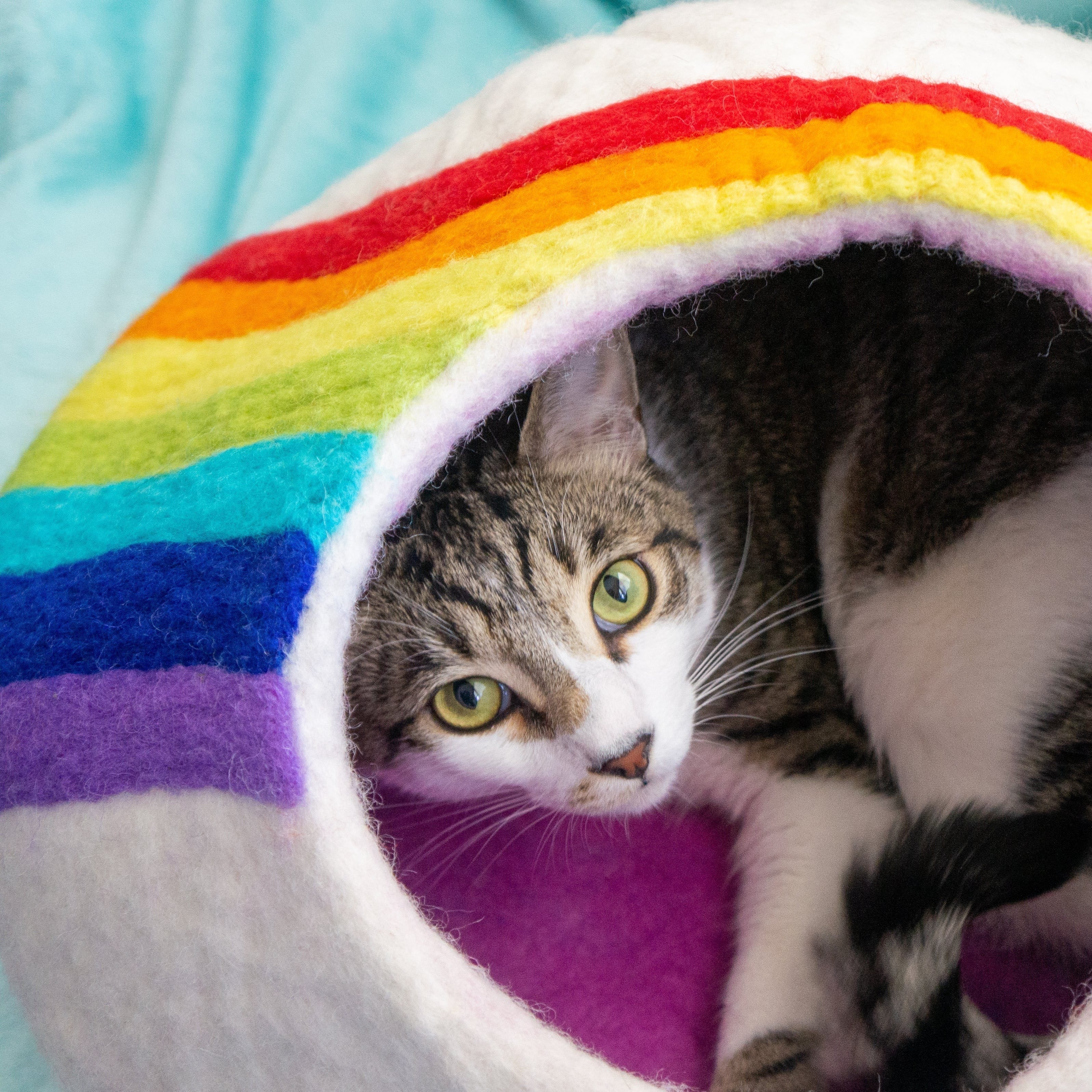 Rainbow Eco Kitty Cave - Image 2