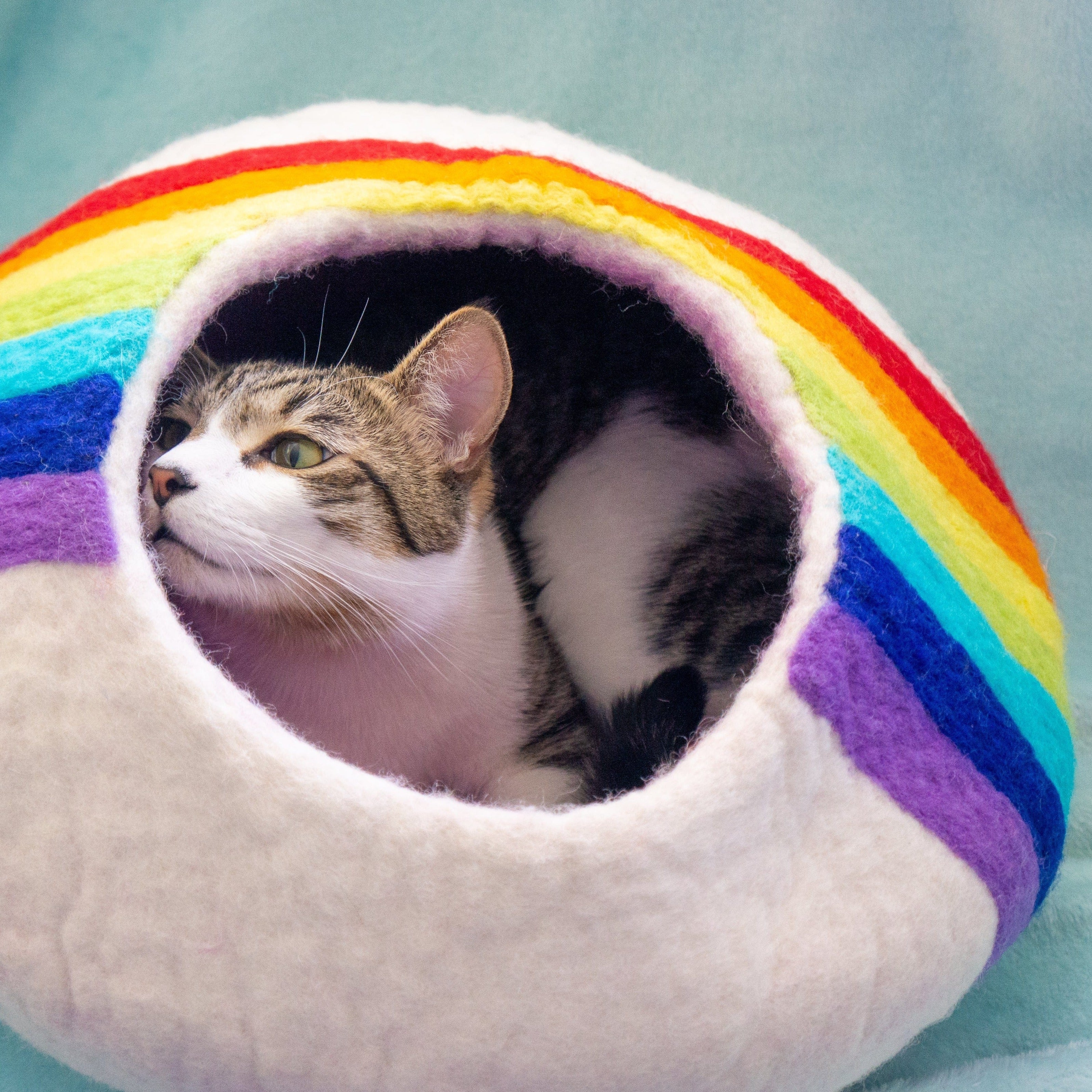 Rainbow Eco Kitty Cave - Image 4