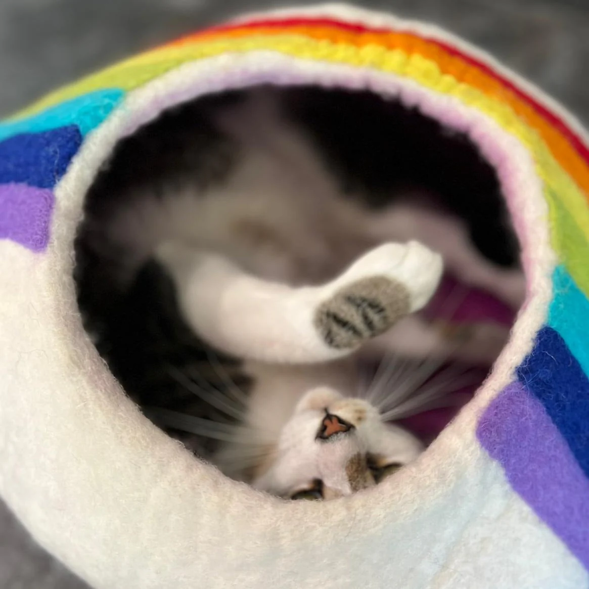 Rainbow Eco Kitty Cave - Image 6
