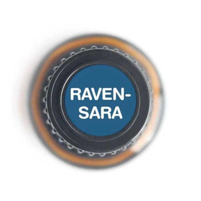 Ravensara Pure Essential Oil - 15ml - Image 2