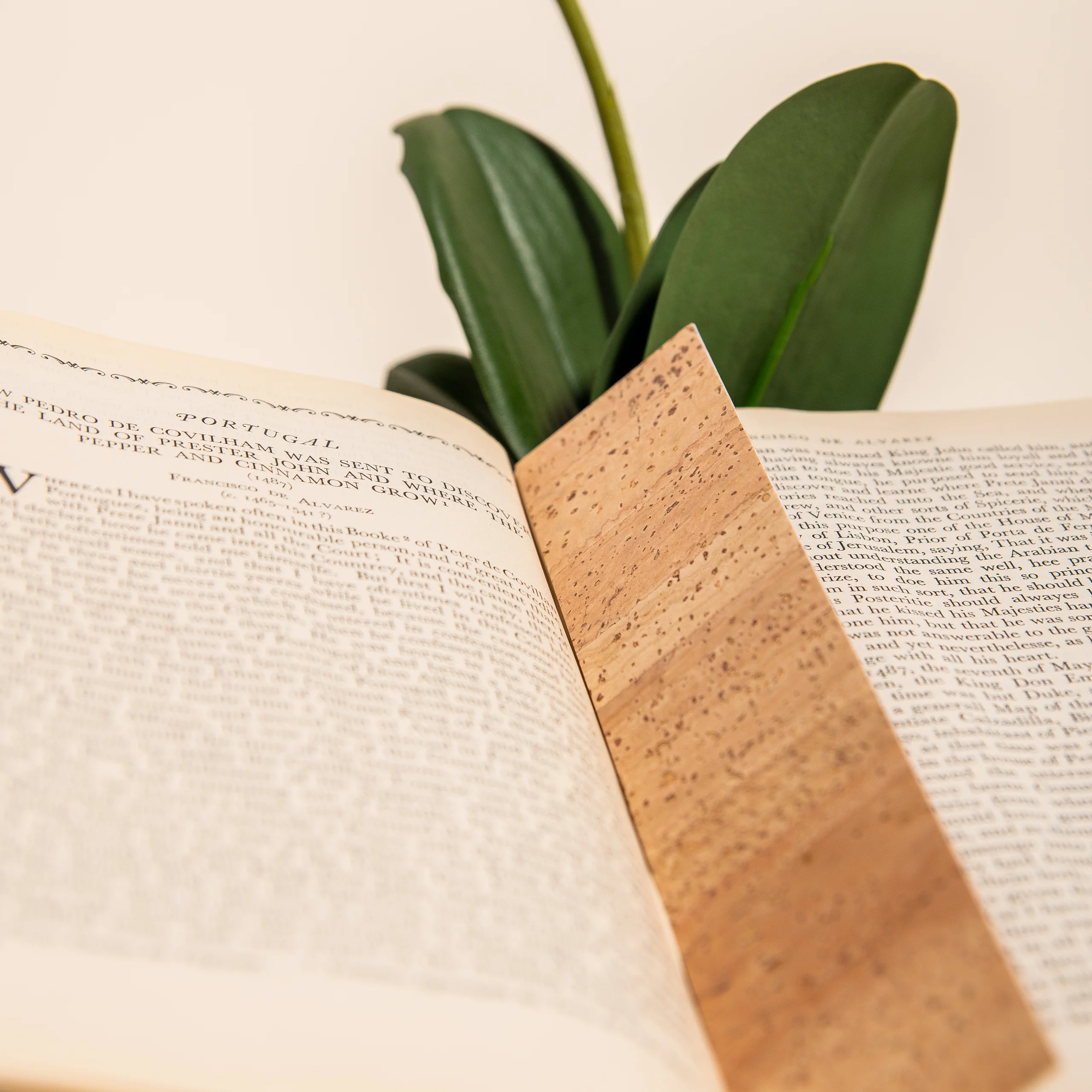 Readers' Choice Bookmark - Image 2