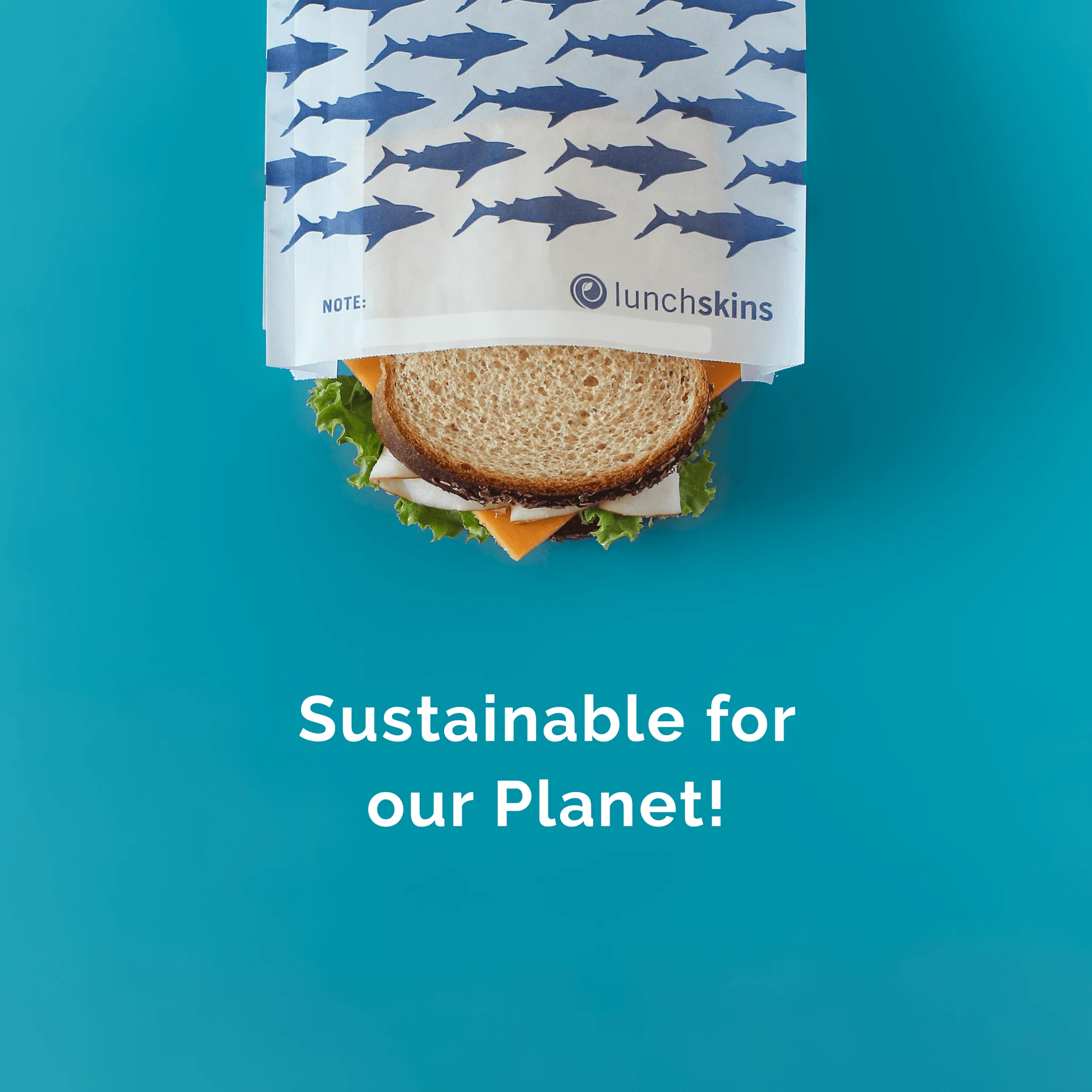 Recyclable Sandwich Bags Shark - Image 8