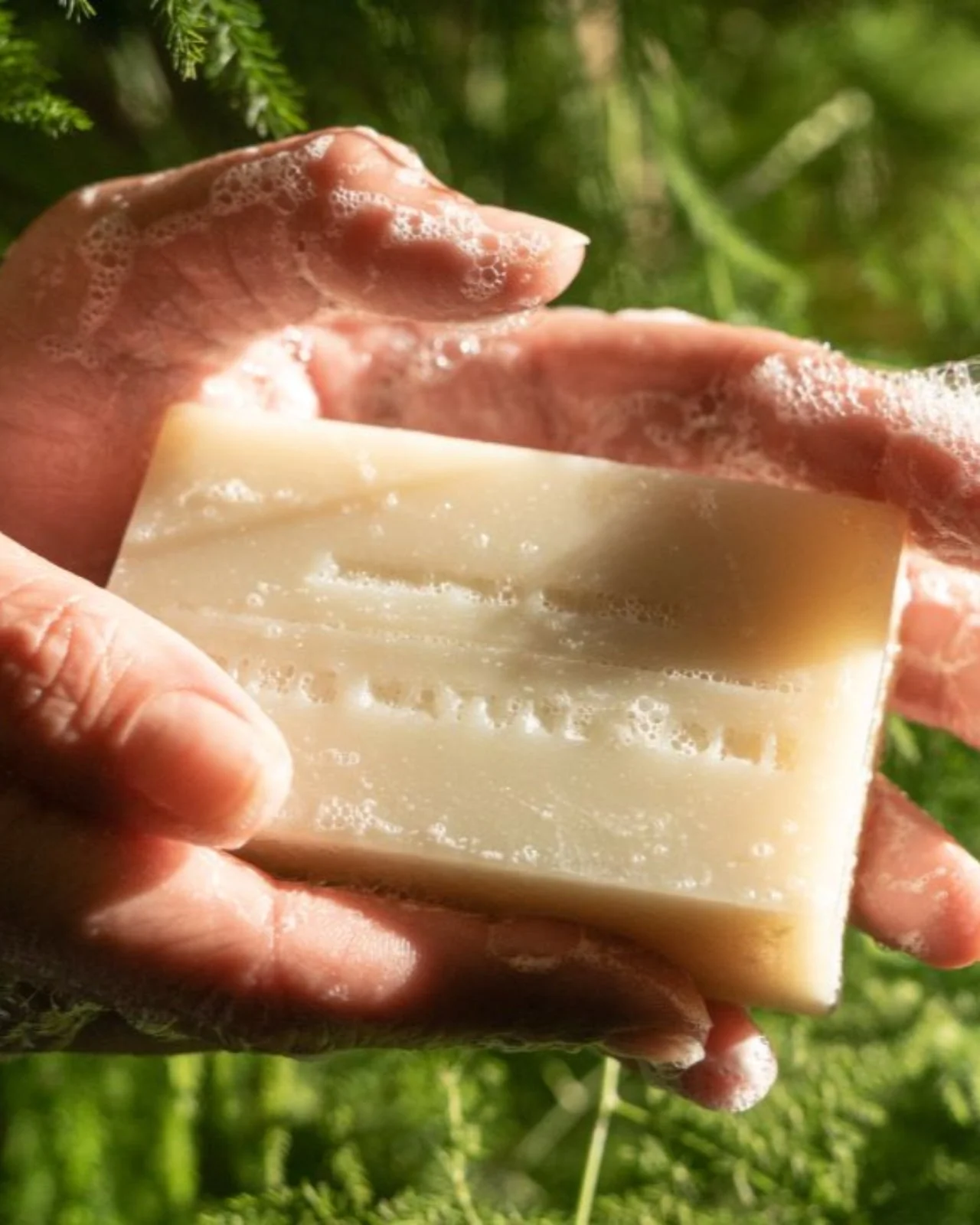 Redwood Mist Bar Soap 3-Pack - Image 2