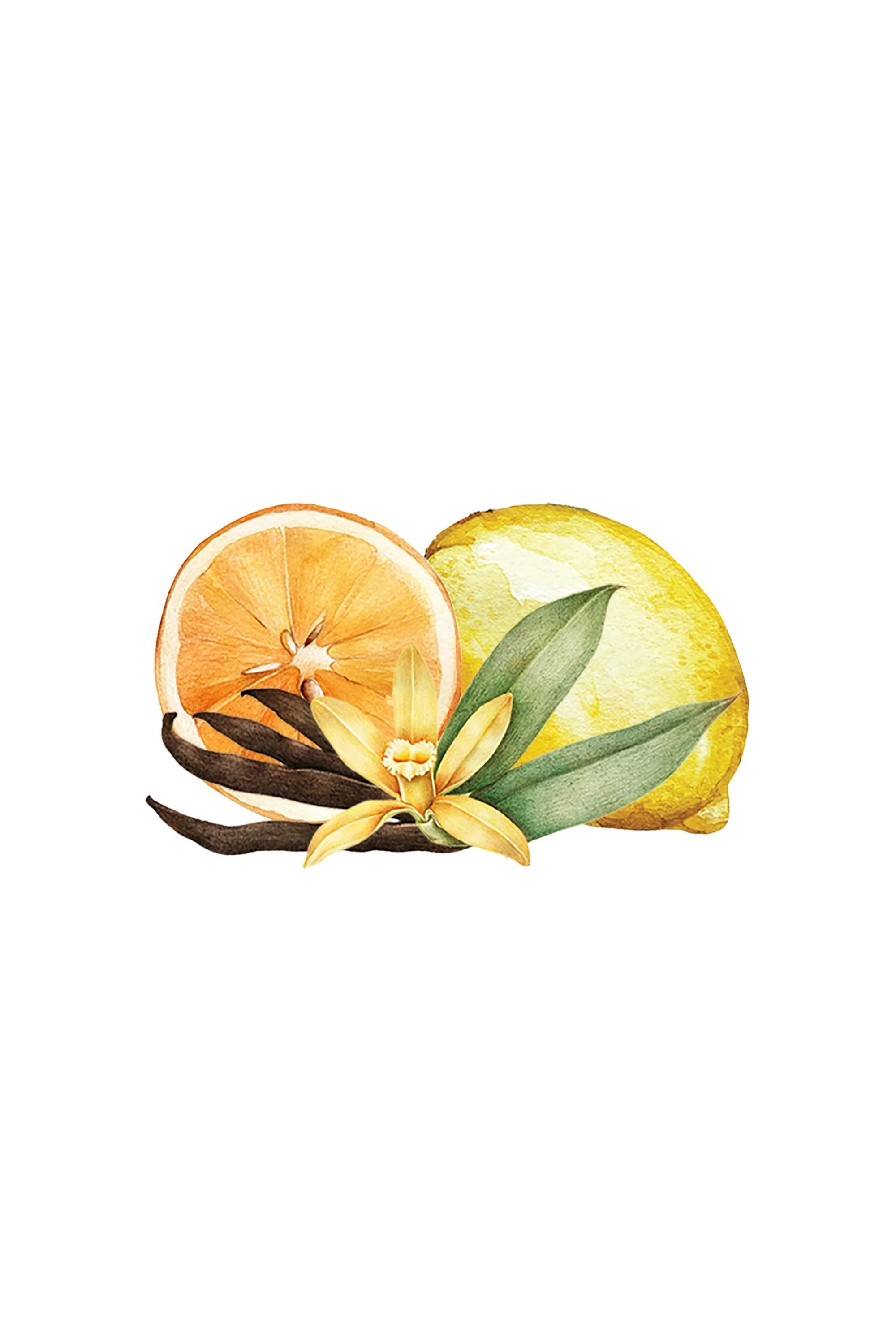 Room Spray | Citrus Vanilla - Image 2