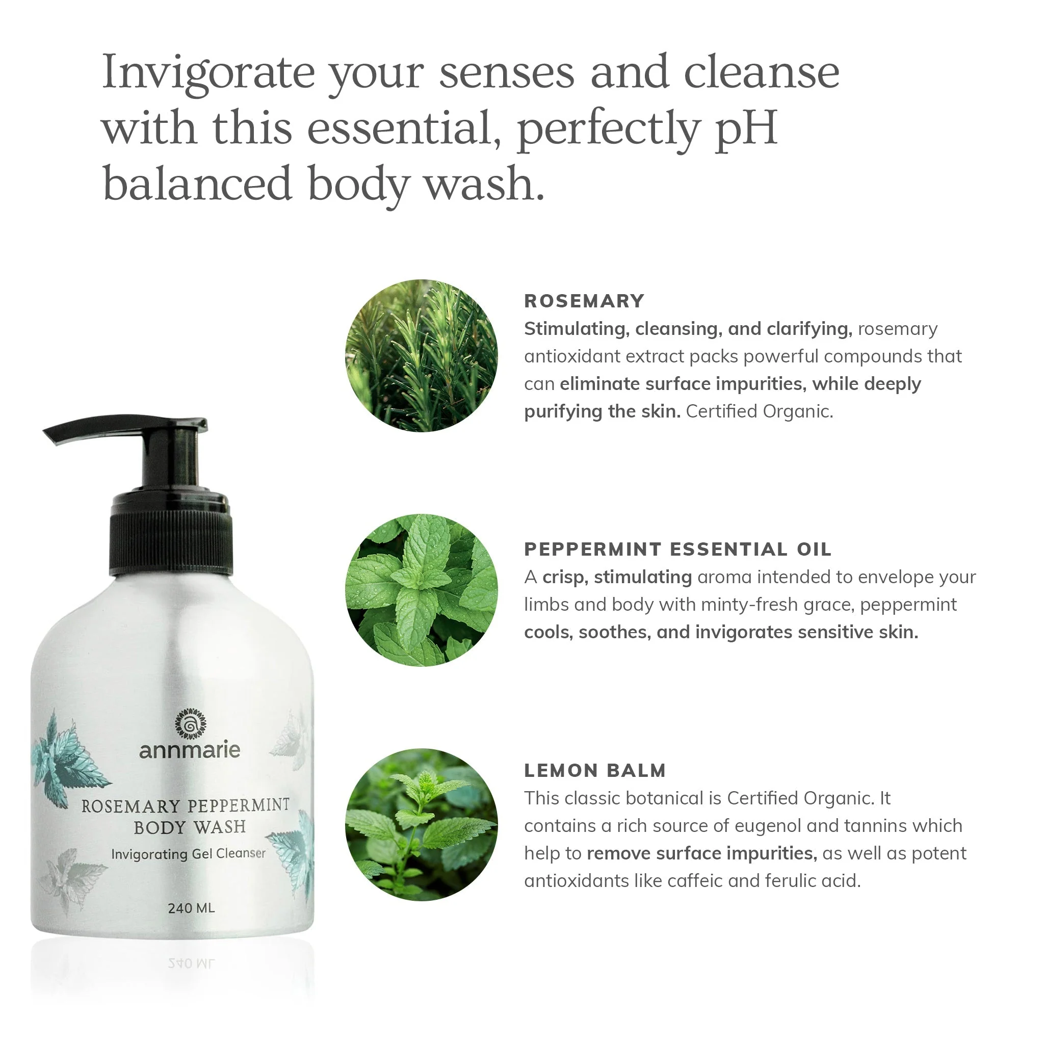 Rosemary Peppermint Hand & Body Wash (240ml) - Image 2