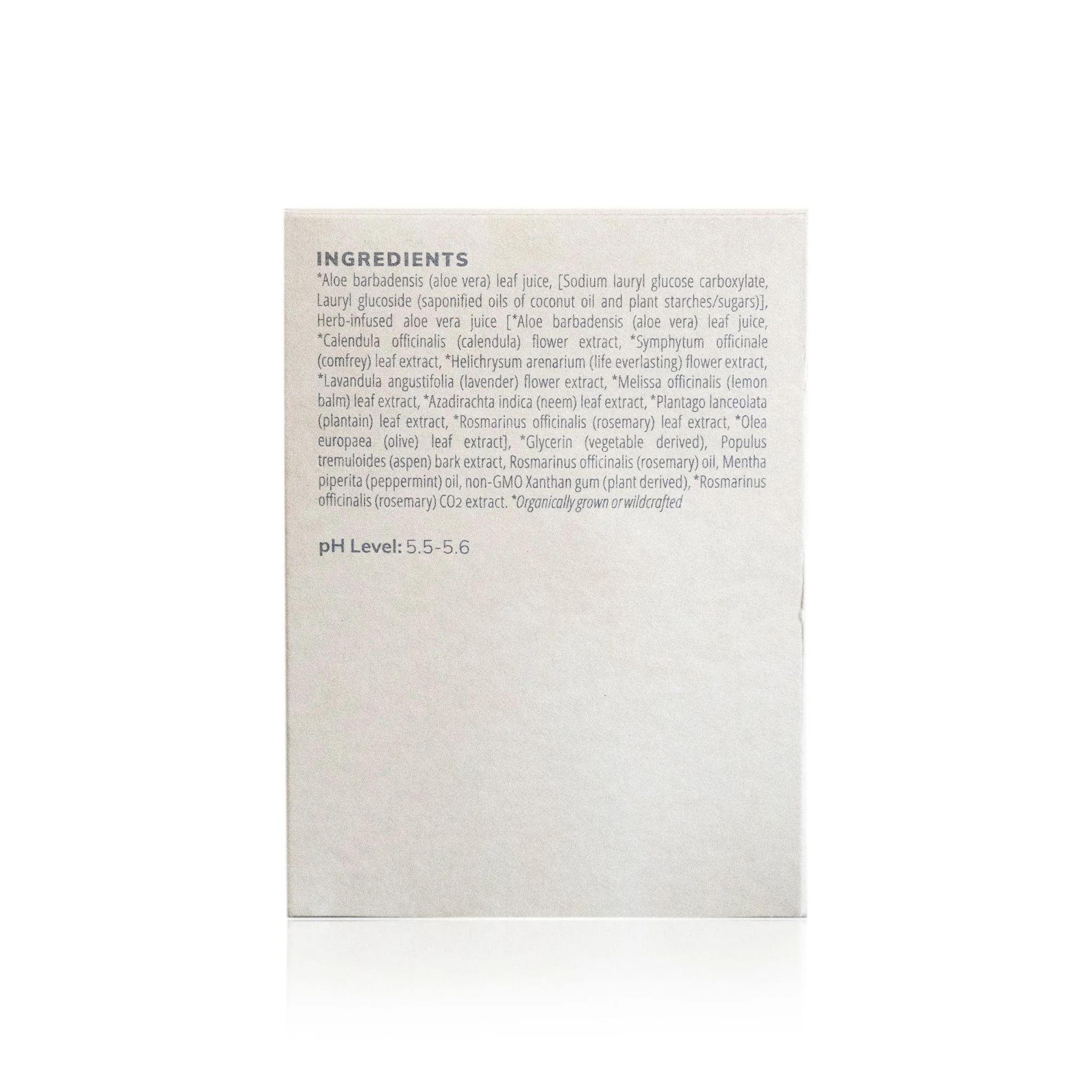 Rosemary Peppermint Hand & Body Wash (240ml) - Image 6