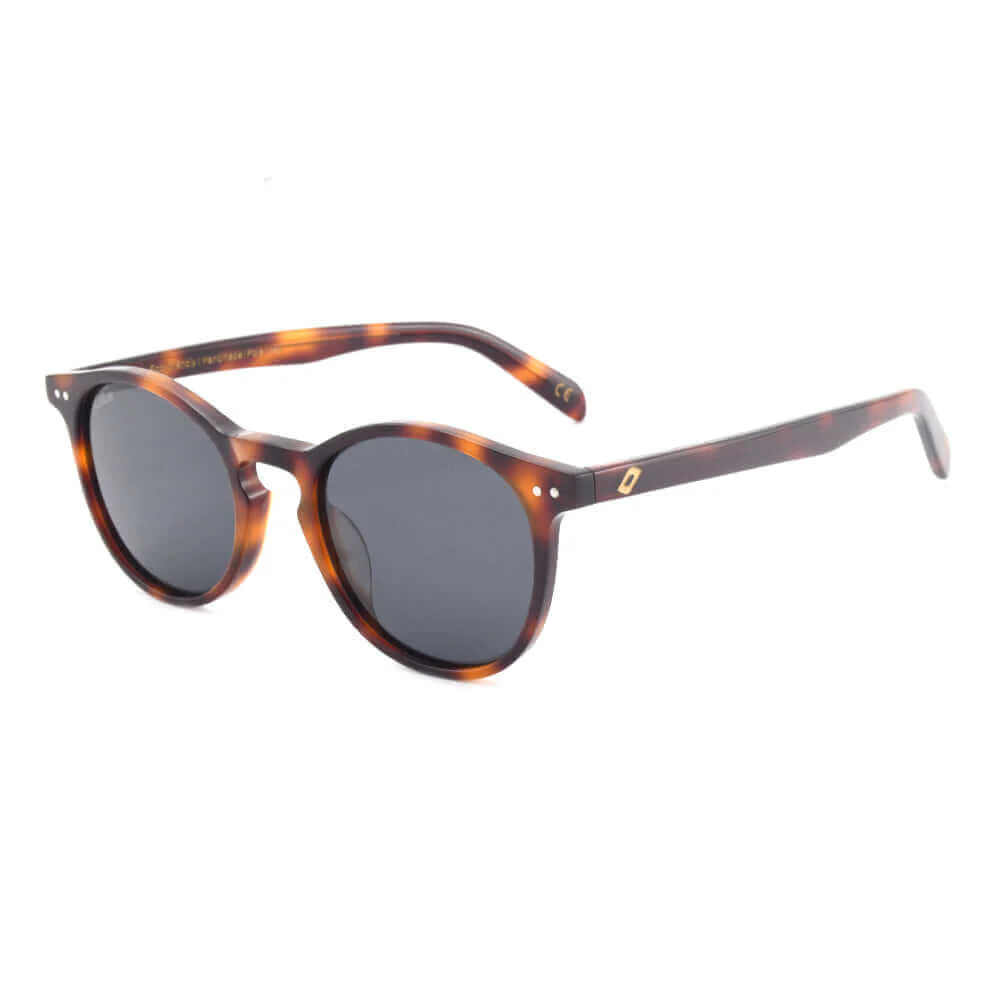 Sagres - Bio Acetate Sunglasses - Image 13