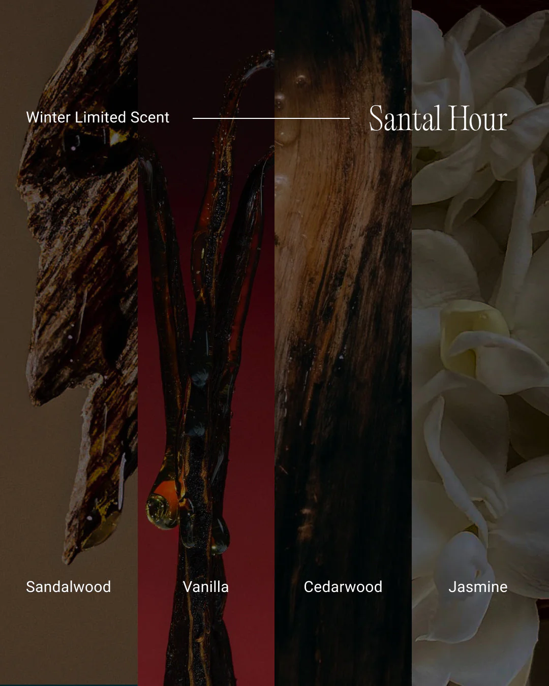 Santal Hour | THE MASSAGE MELT - Image 4