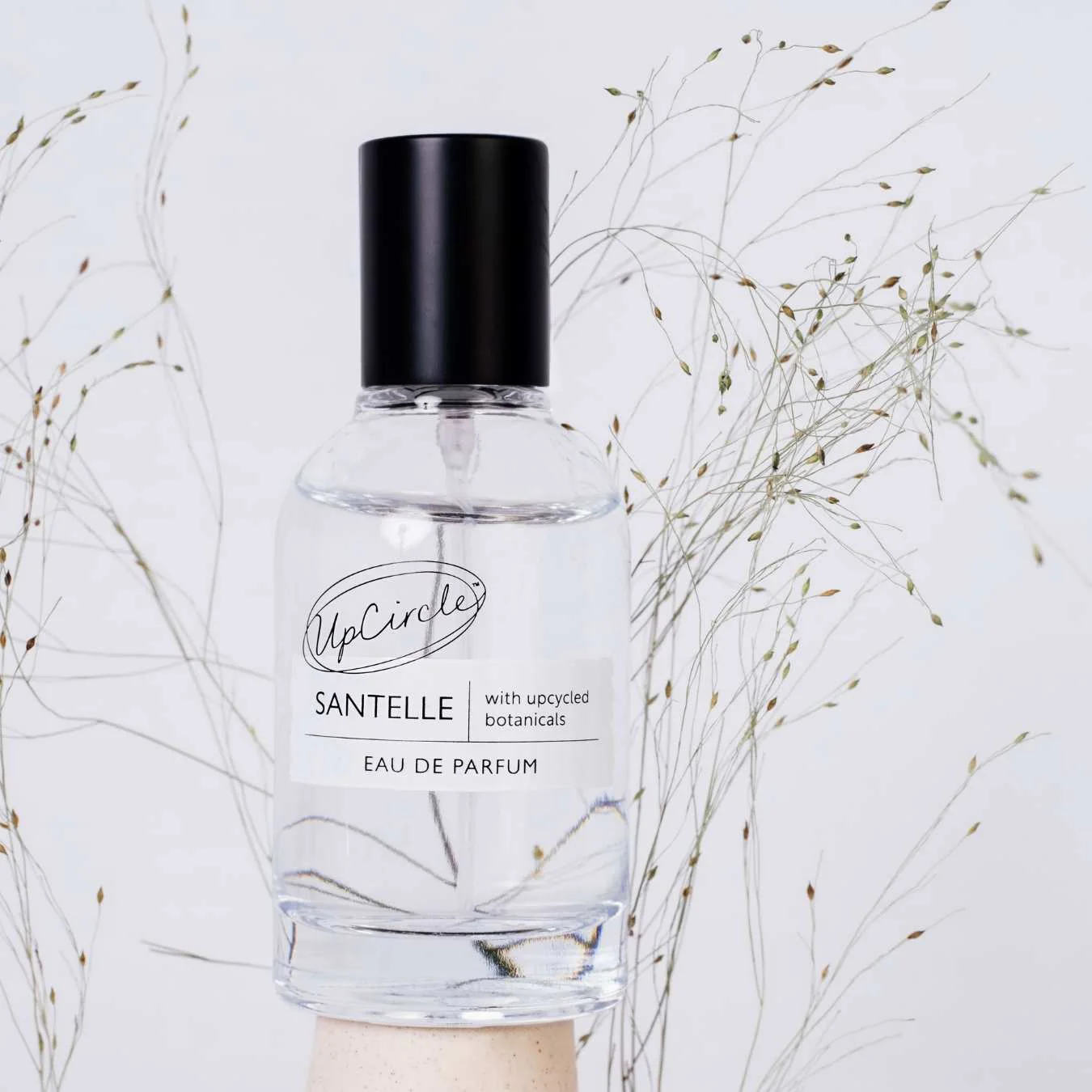 Santelle Eau De Parfum - Image 8