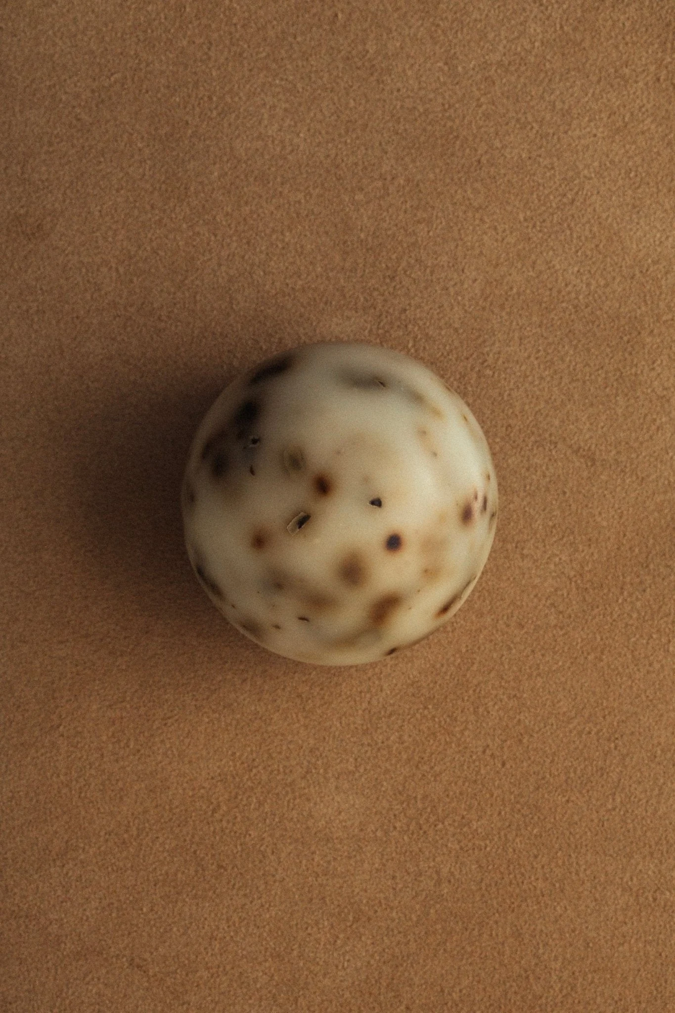 Sea Change – Seaweed Sphere Soap | Bladderwrack & Neroli - Image 5