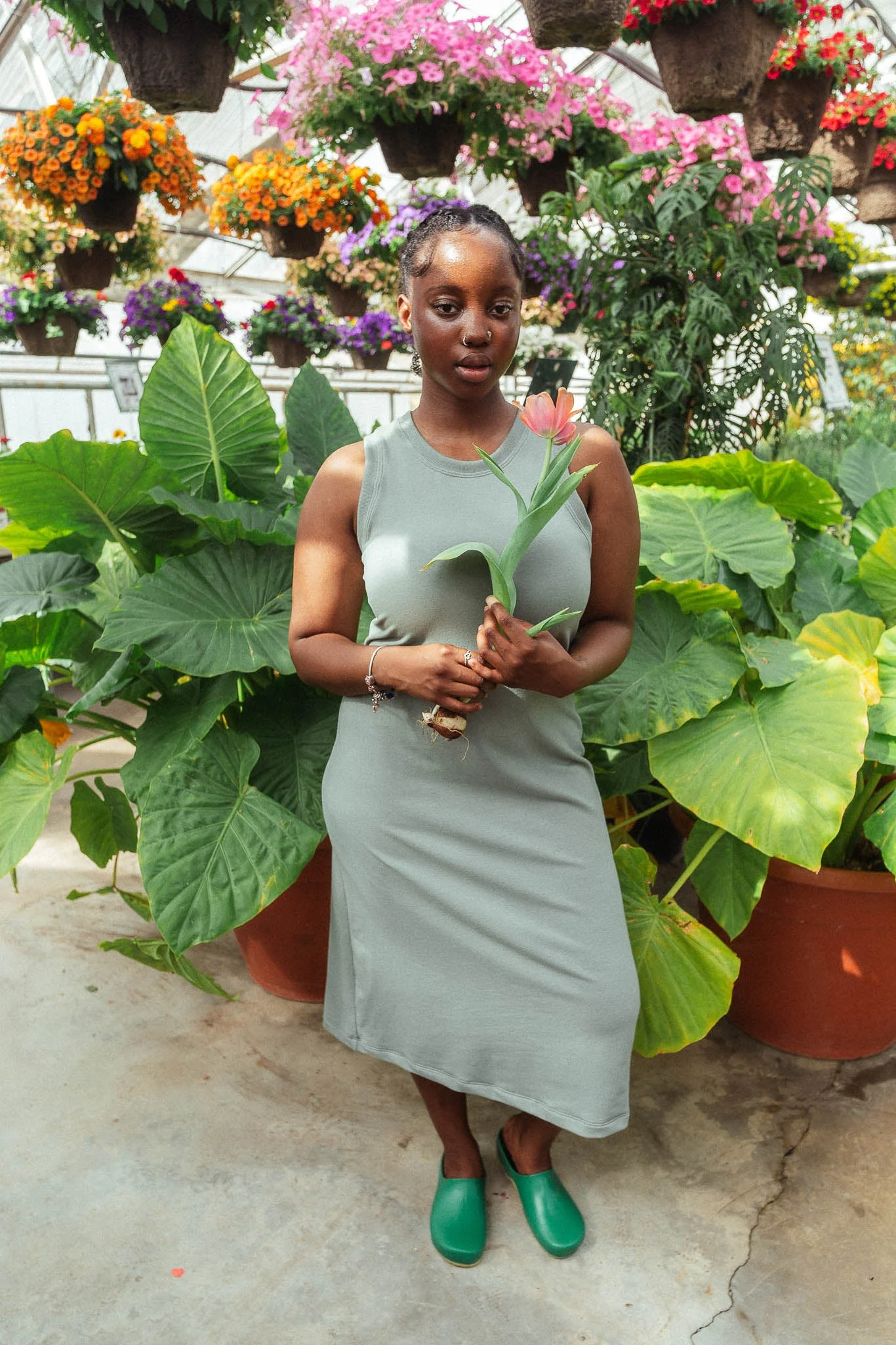 Serena Dress in Pistachio - Image 5