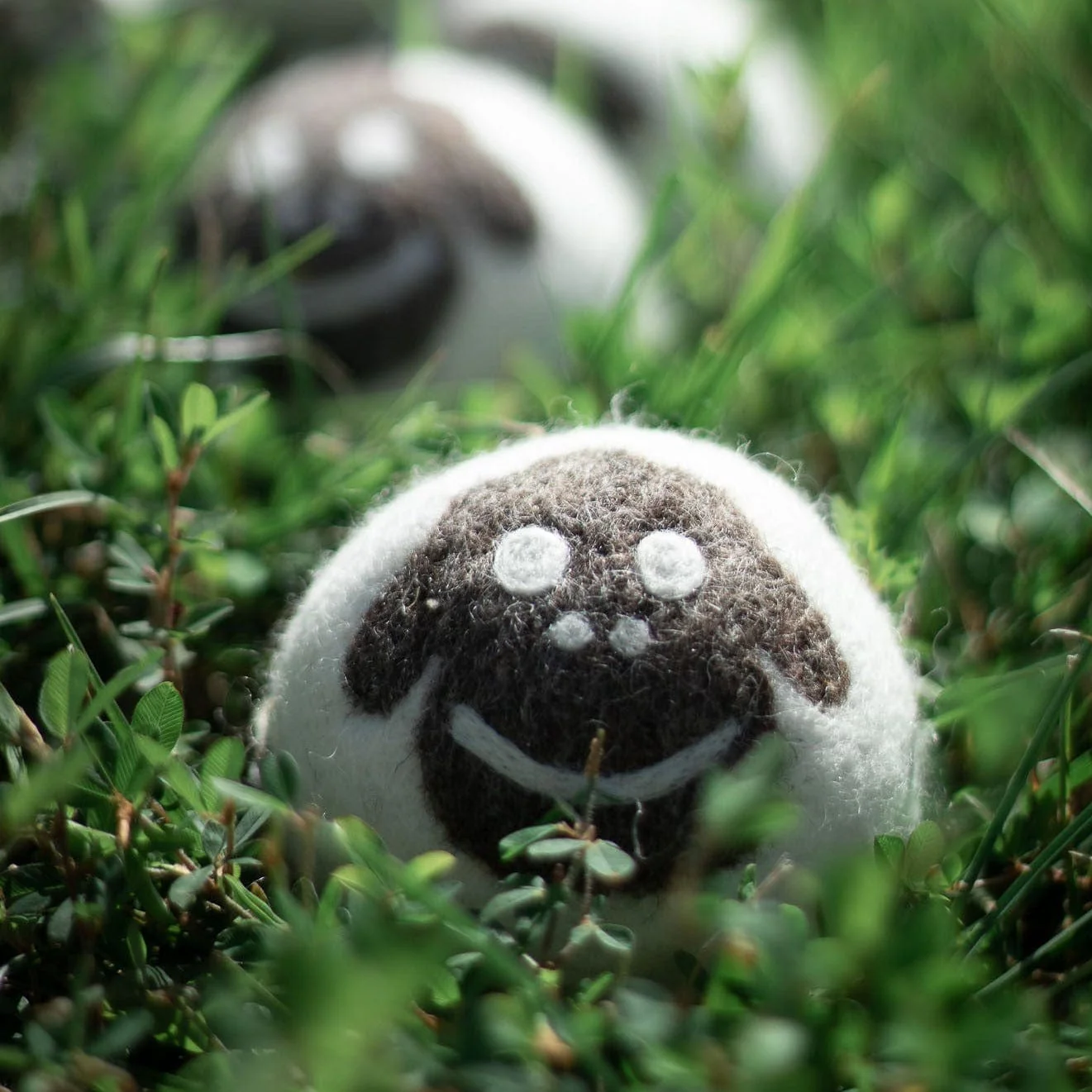 Sheep Trio - Image 3