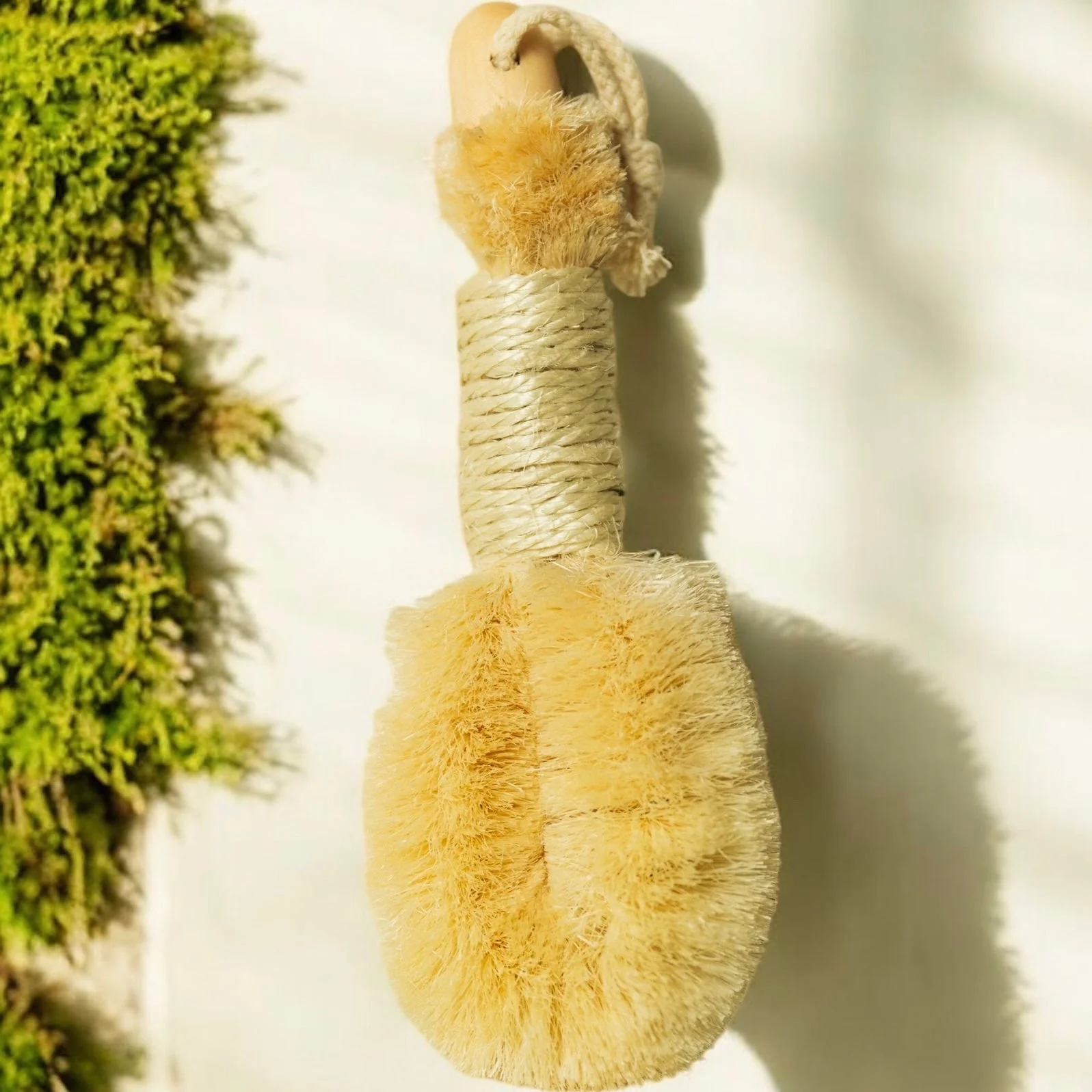 Sisal Dry Brush - Image 3