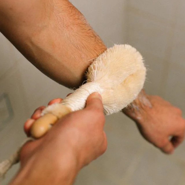 Sisal Dry Brush - Image 4