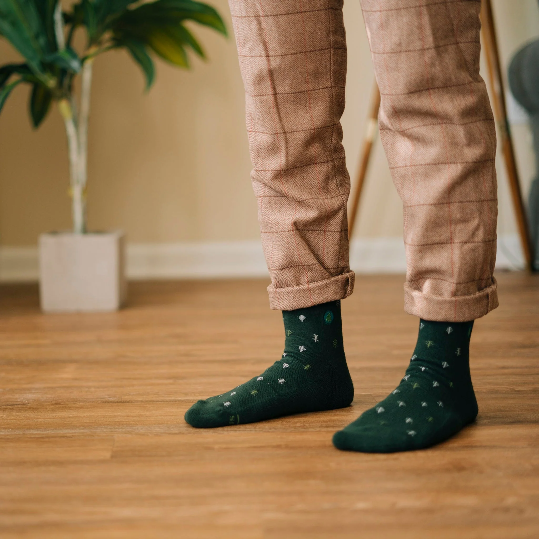 Socks that Plant Trees - Image 5