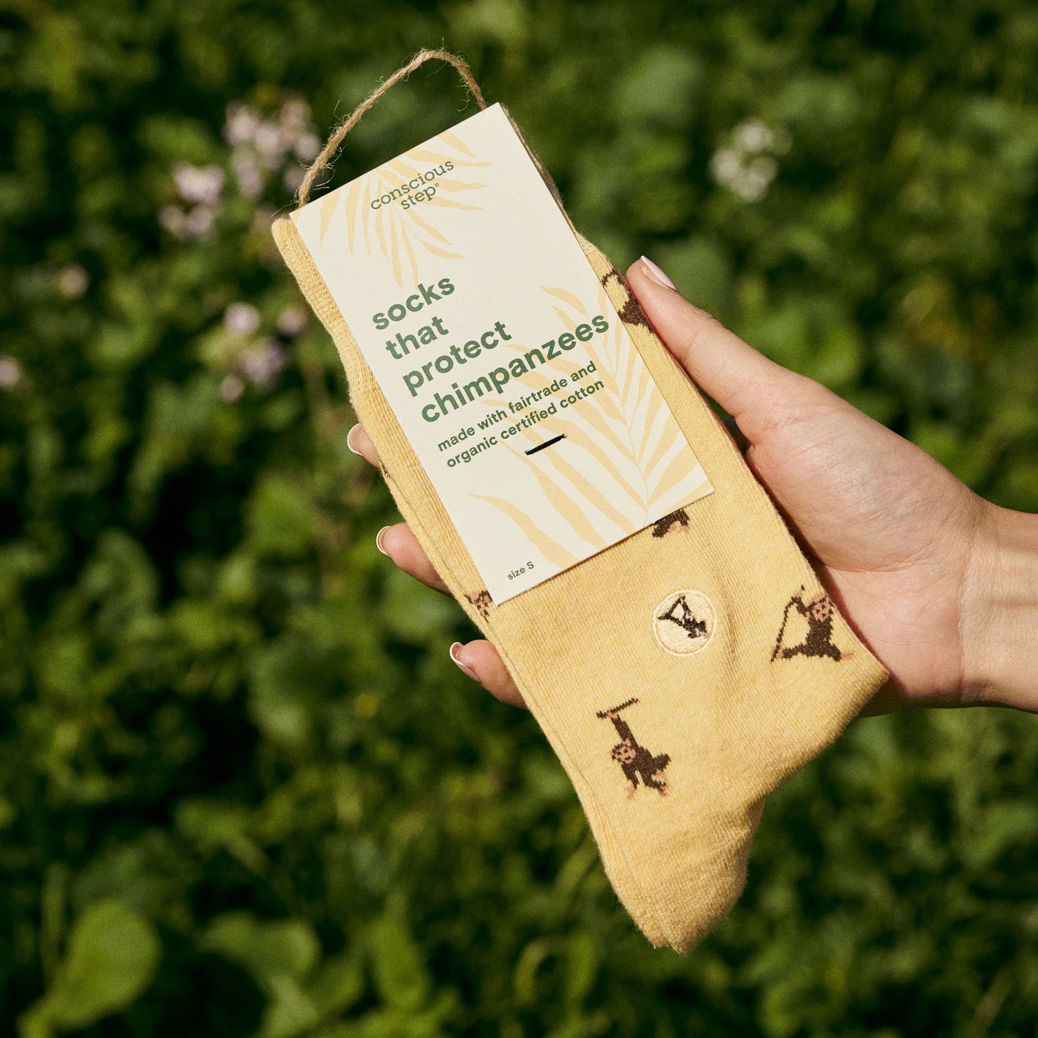 Socks that Protect Chimpanzees - Image 2