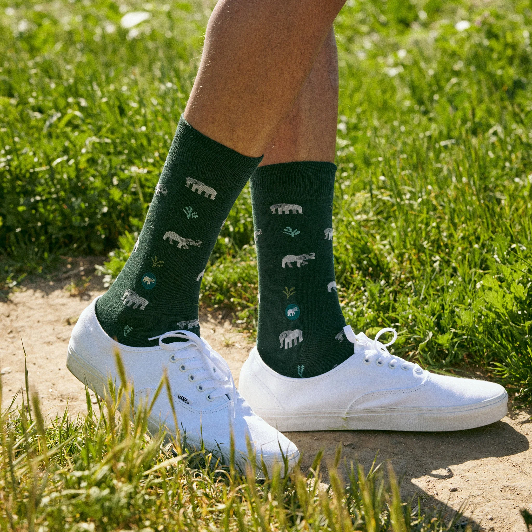 Socks that Protect Elephants - Image 5