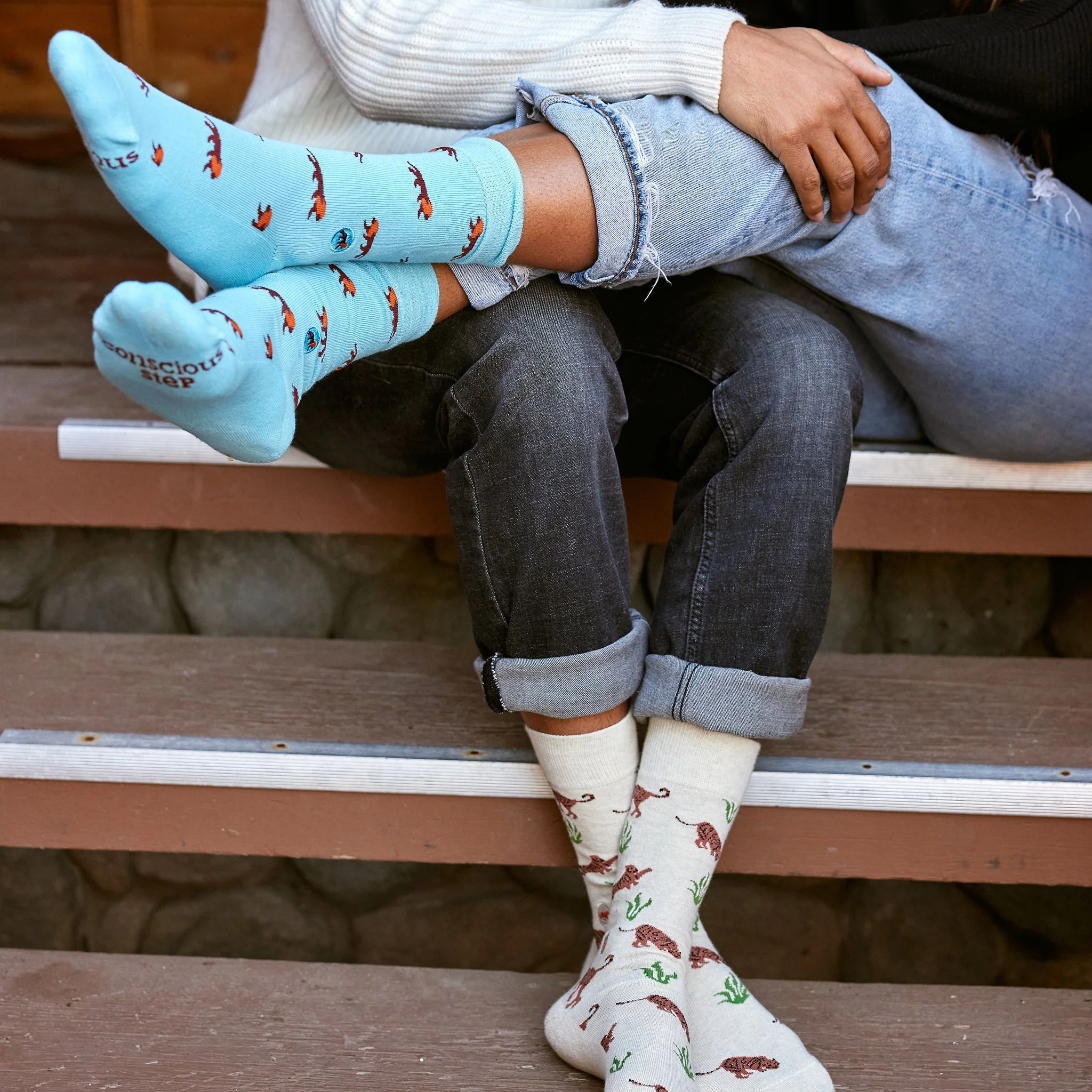 Socks that Protect Lions - Image 5