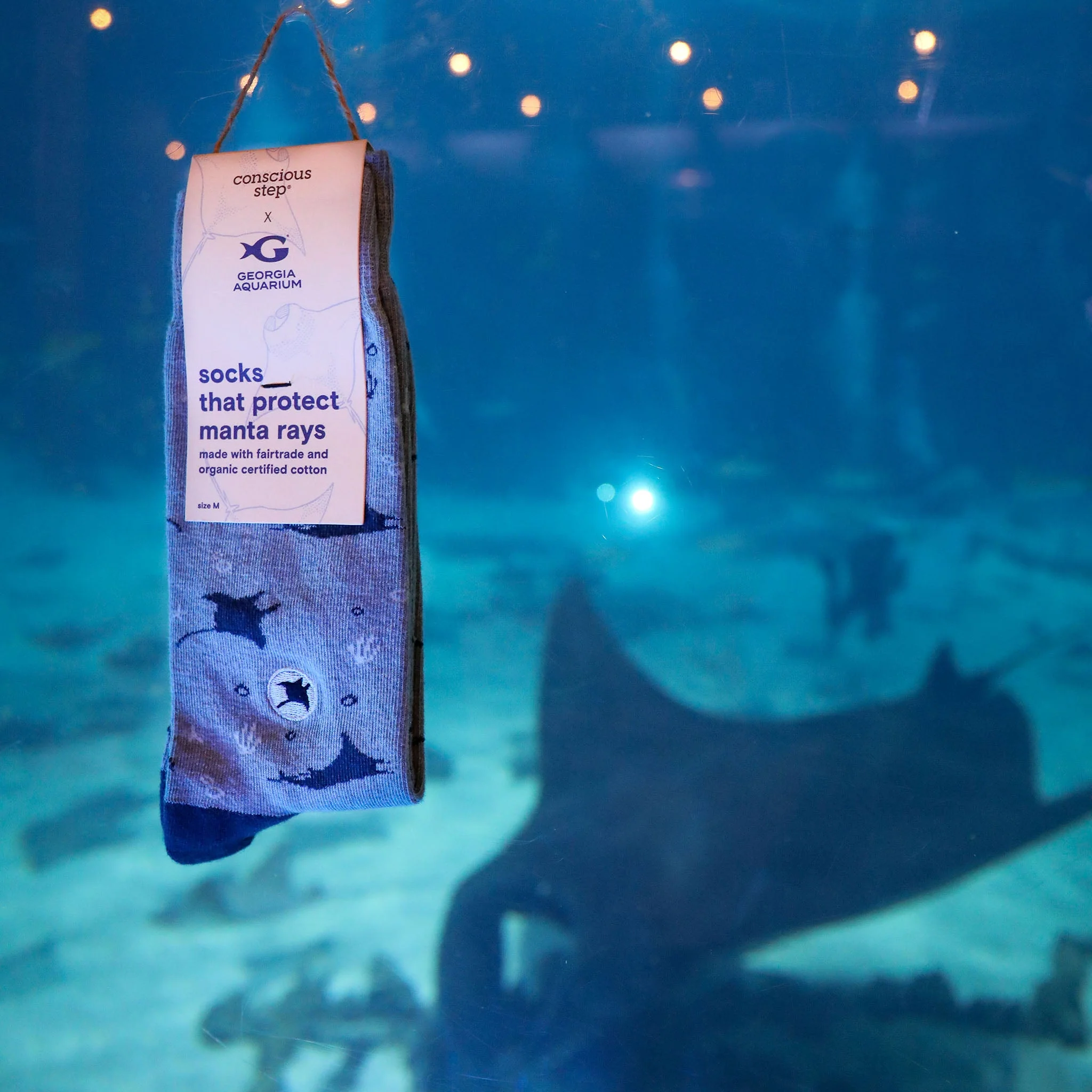 Socks that Protect Manta Rays - Image 3