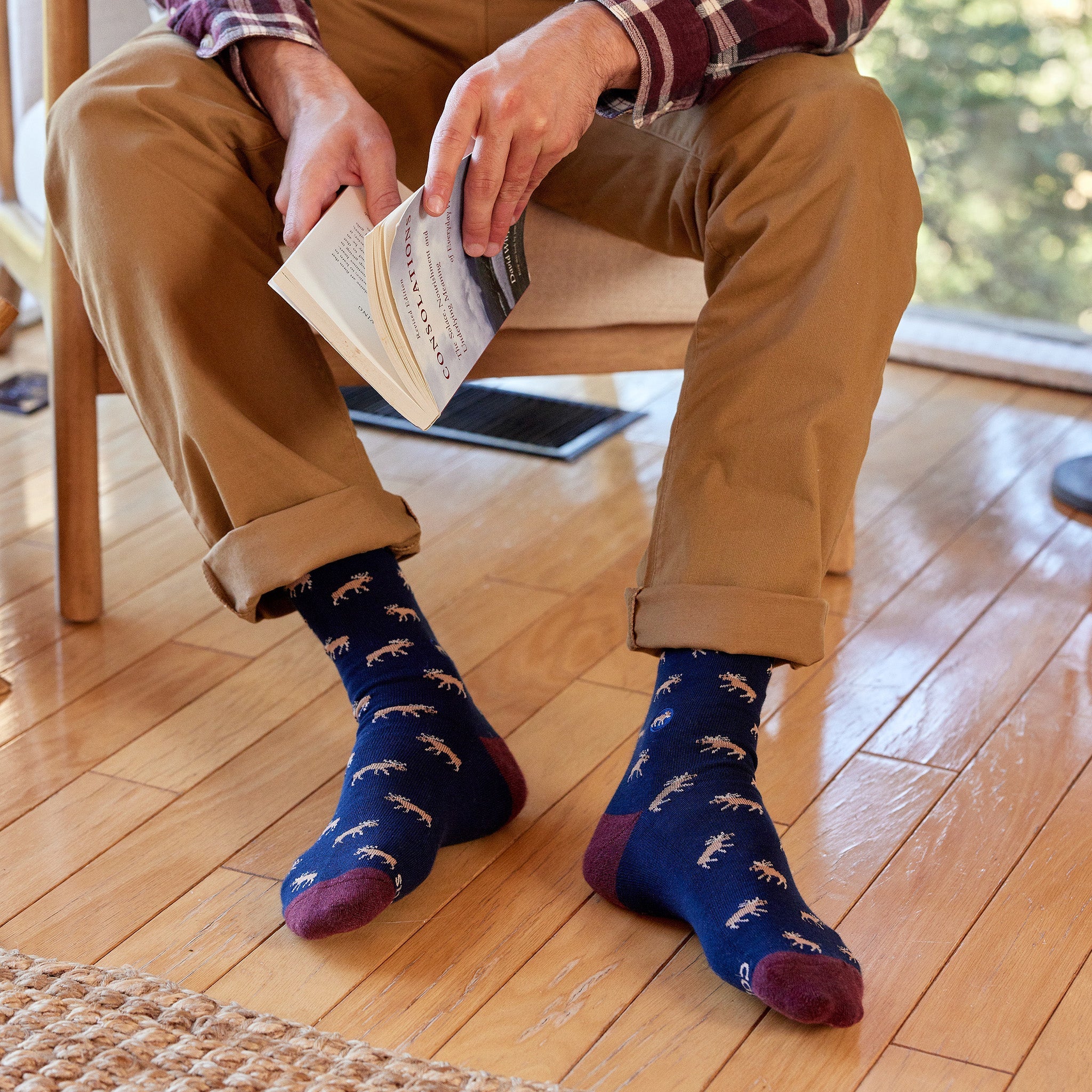 Socks that Protect Moose - Image 4
