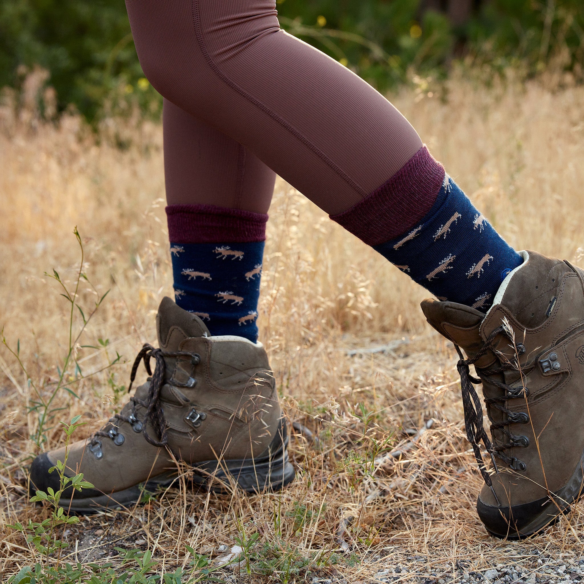 Socks that Protect Moose - Image 5