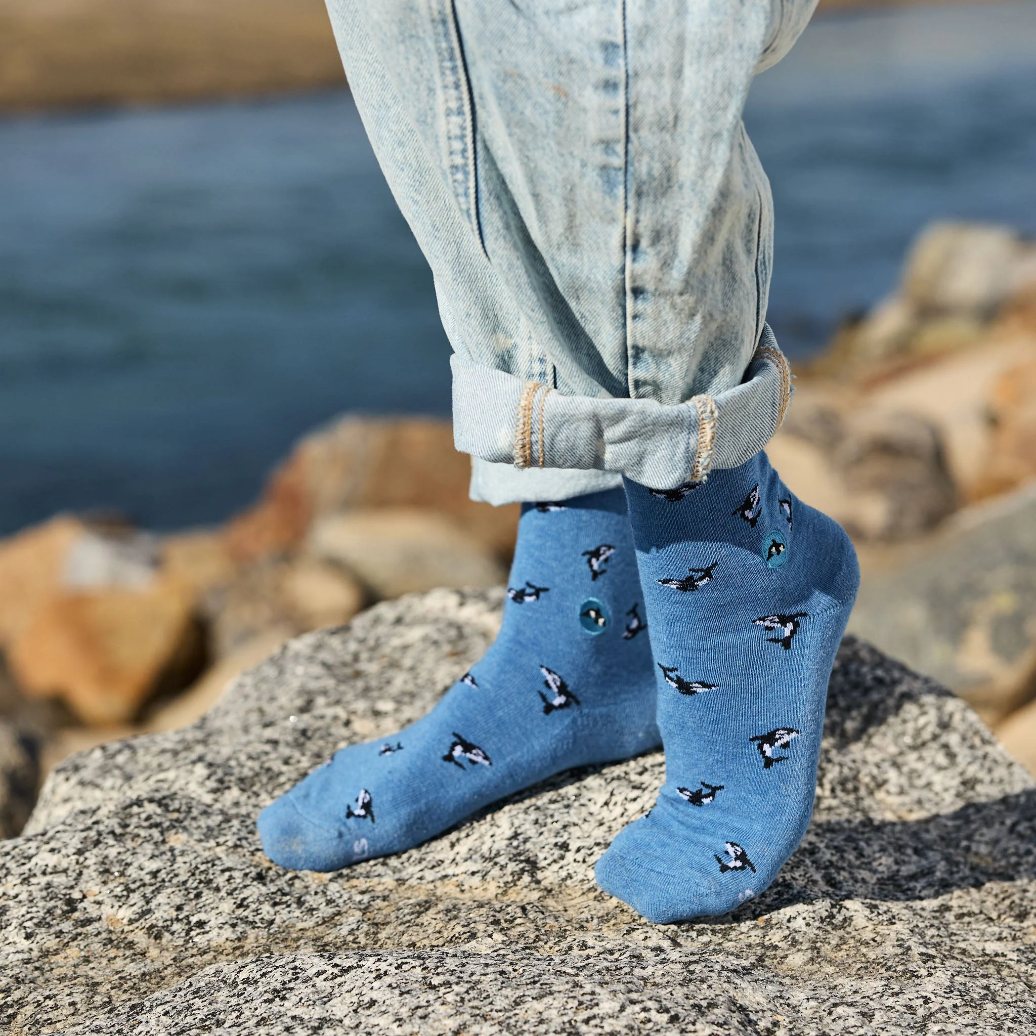 Socks that Protect Orcas - Image 3