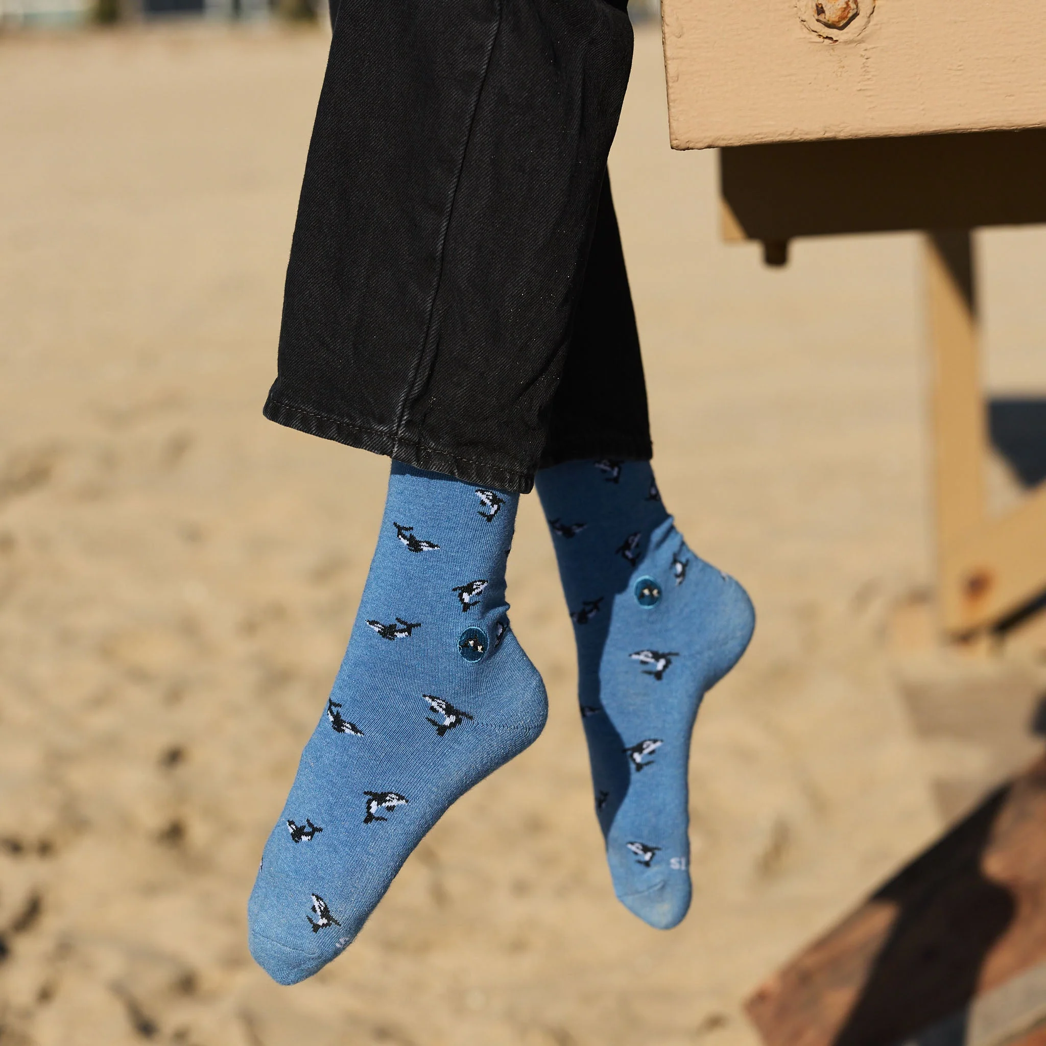 Socks that Protect Orcas - Image 5