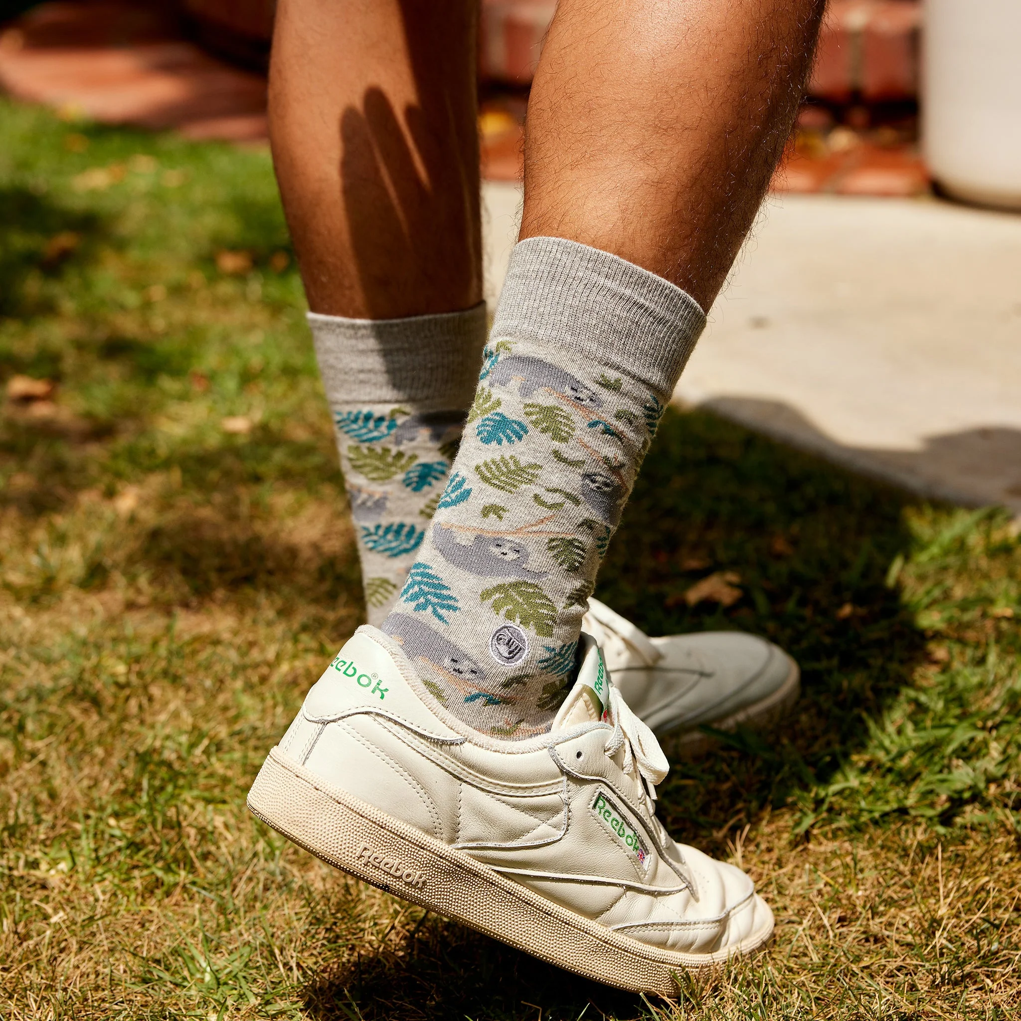 Socks that Protect Sloths - Image 5