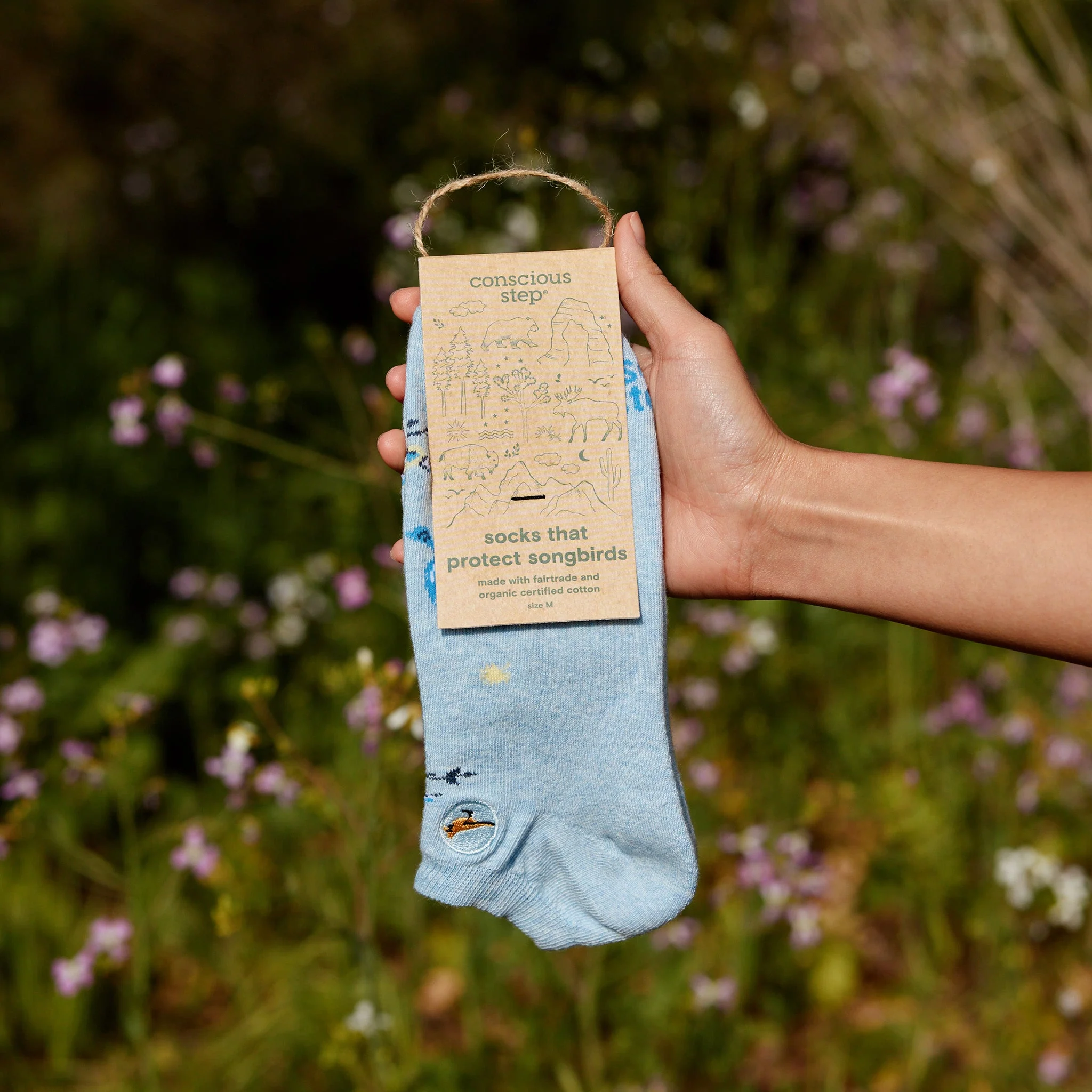 Socks that Protect Songbirds - Image 3