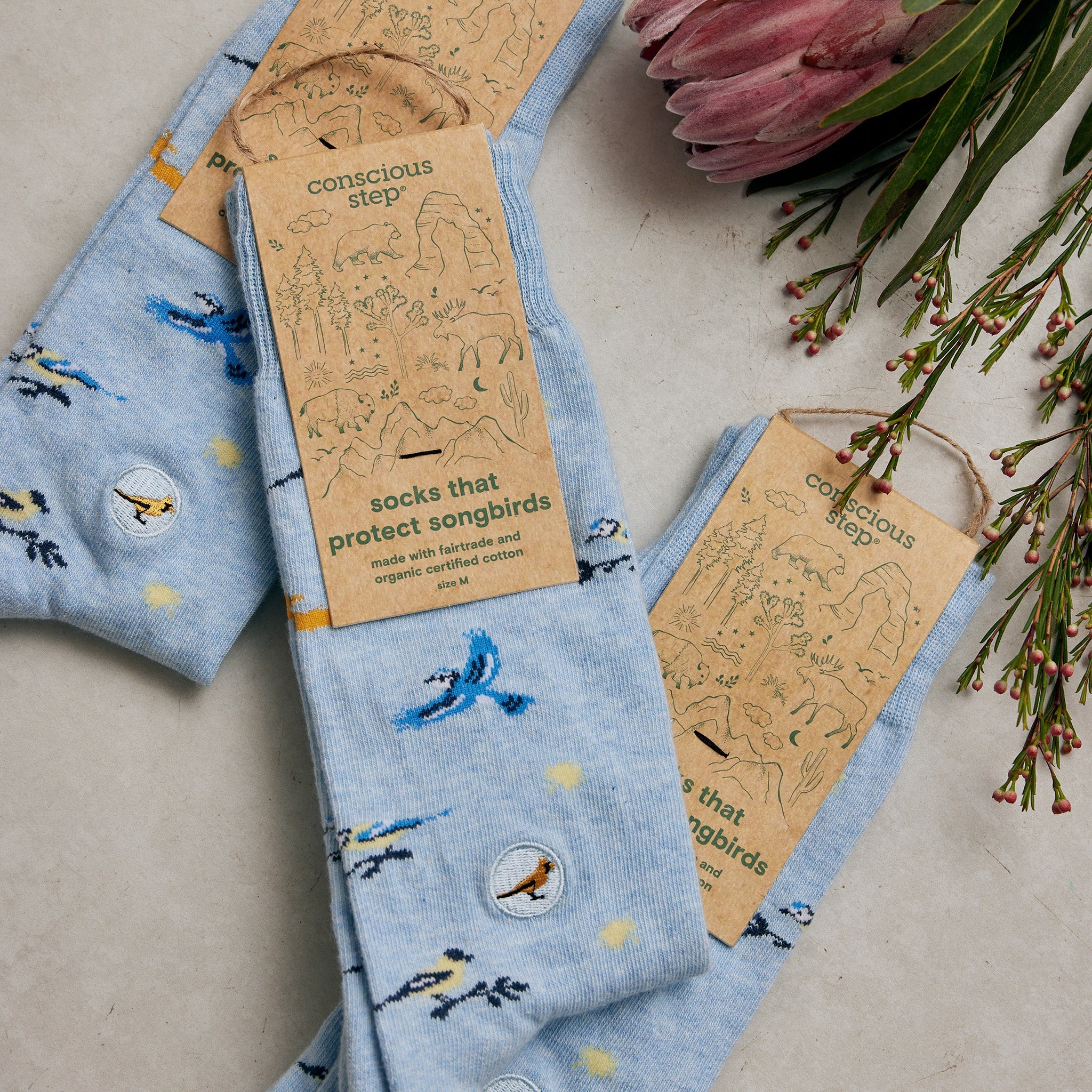 Socks that Protect Songbirds - Image 3