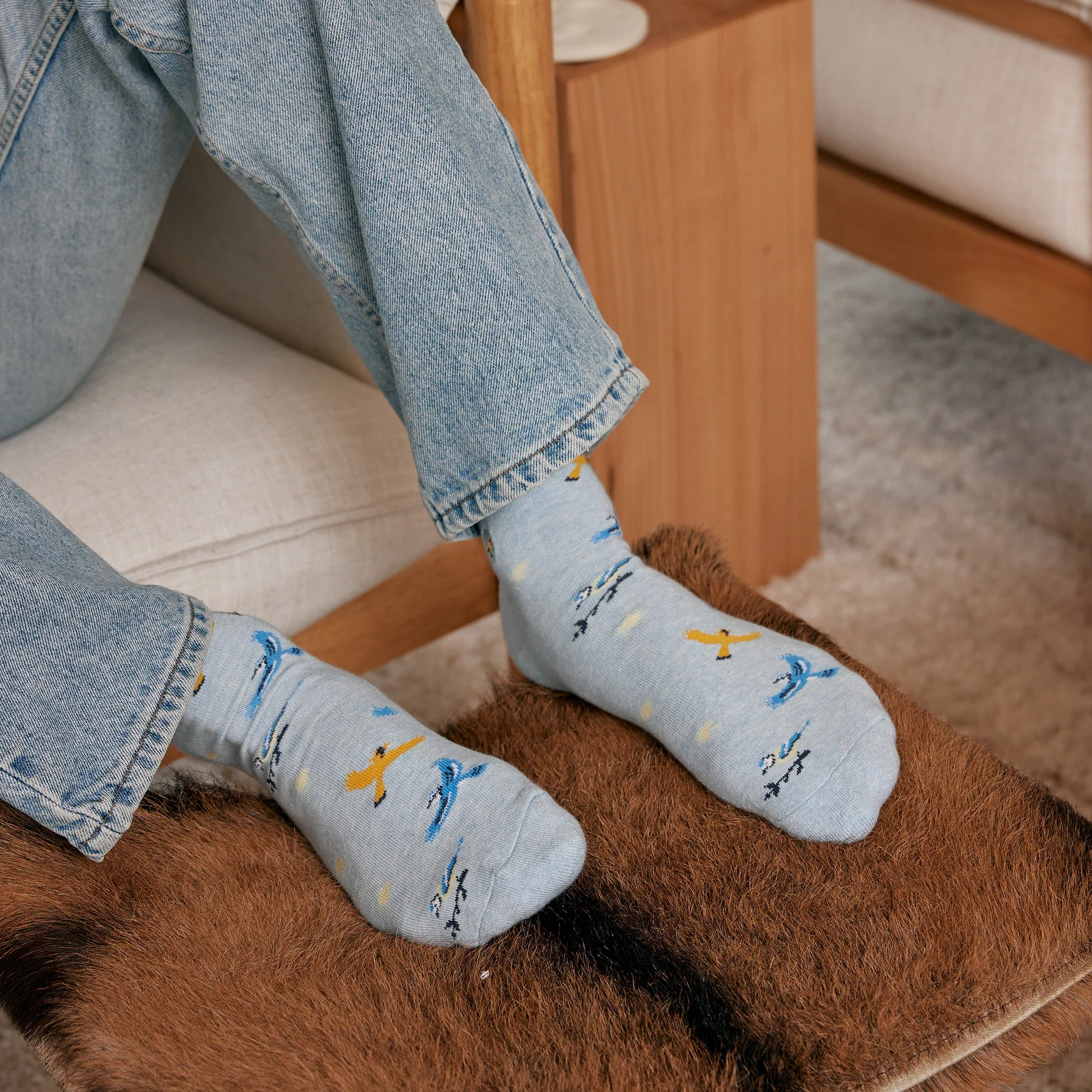 Socks that Protect Songbirds - Image 4