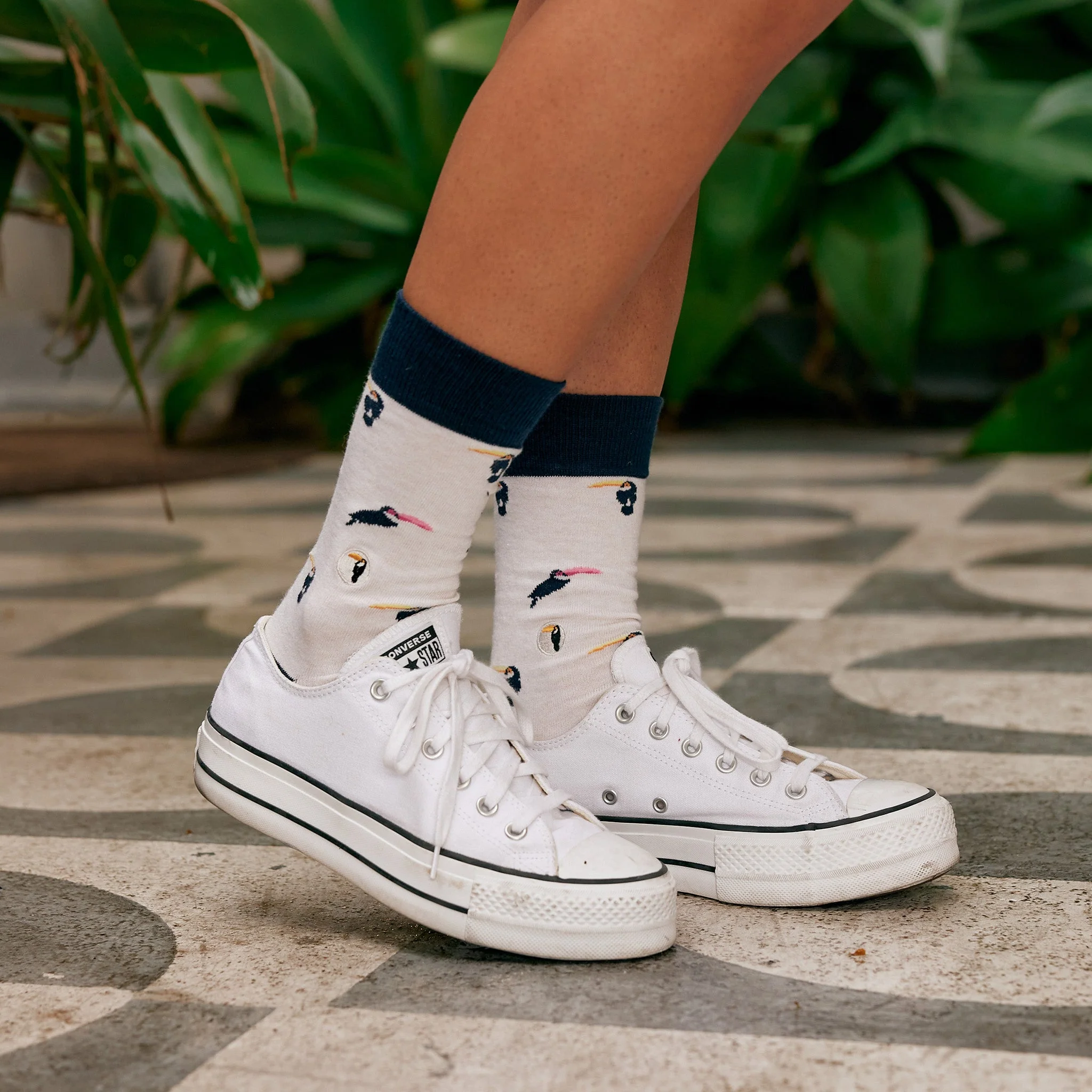 Socks that Protect Toucans - Image 6