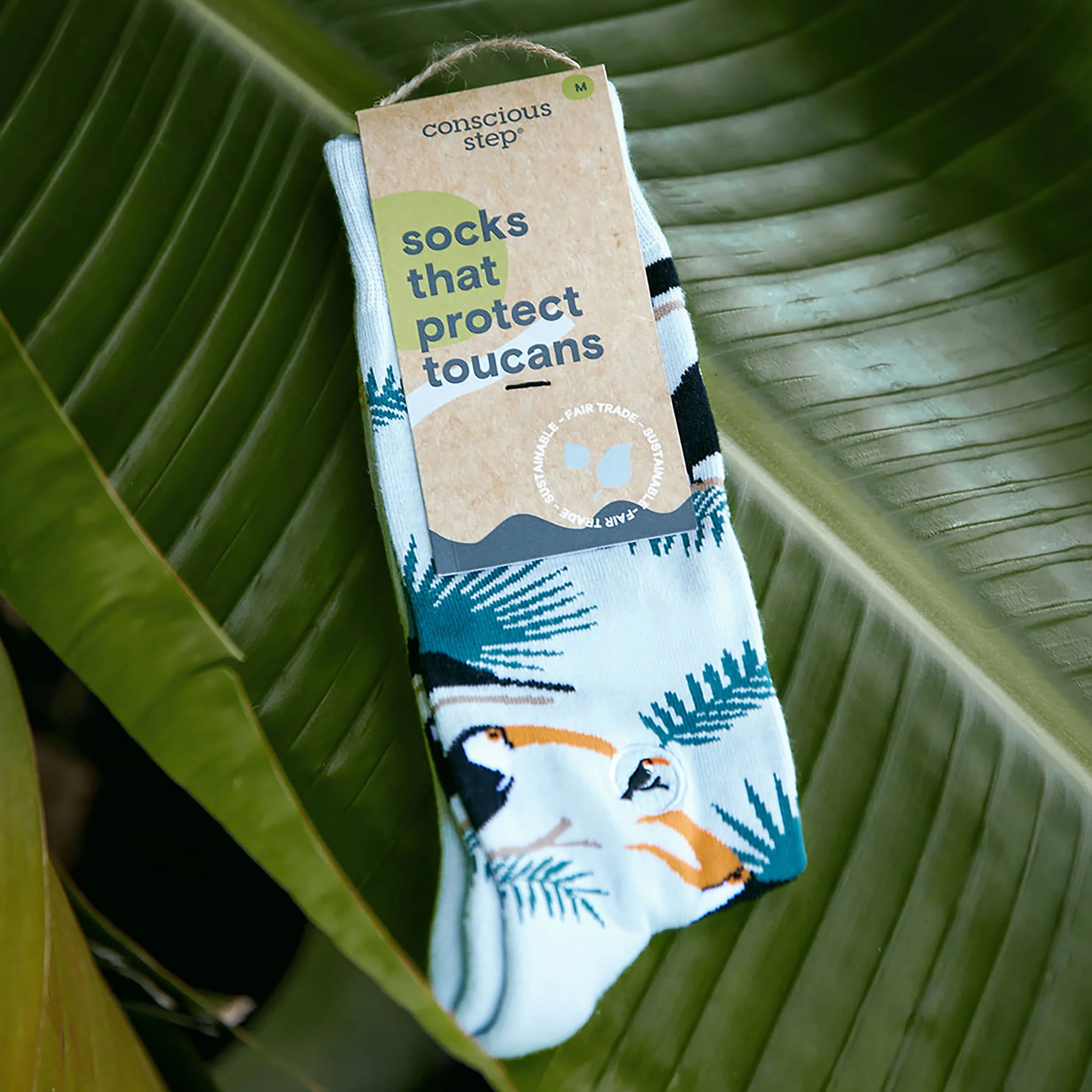 Socks that Protect Toucans - Image 3