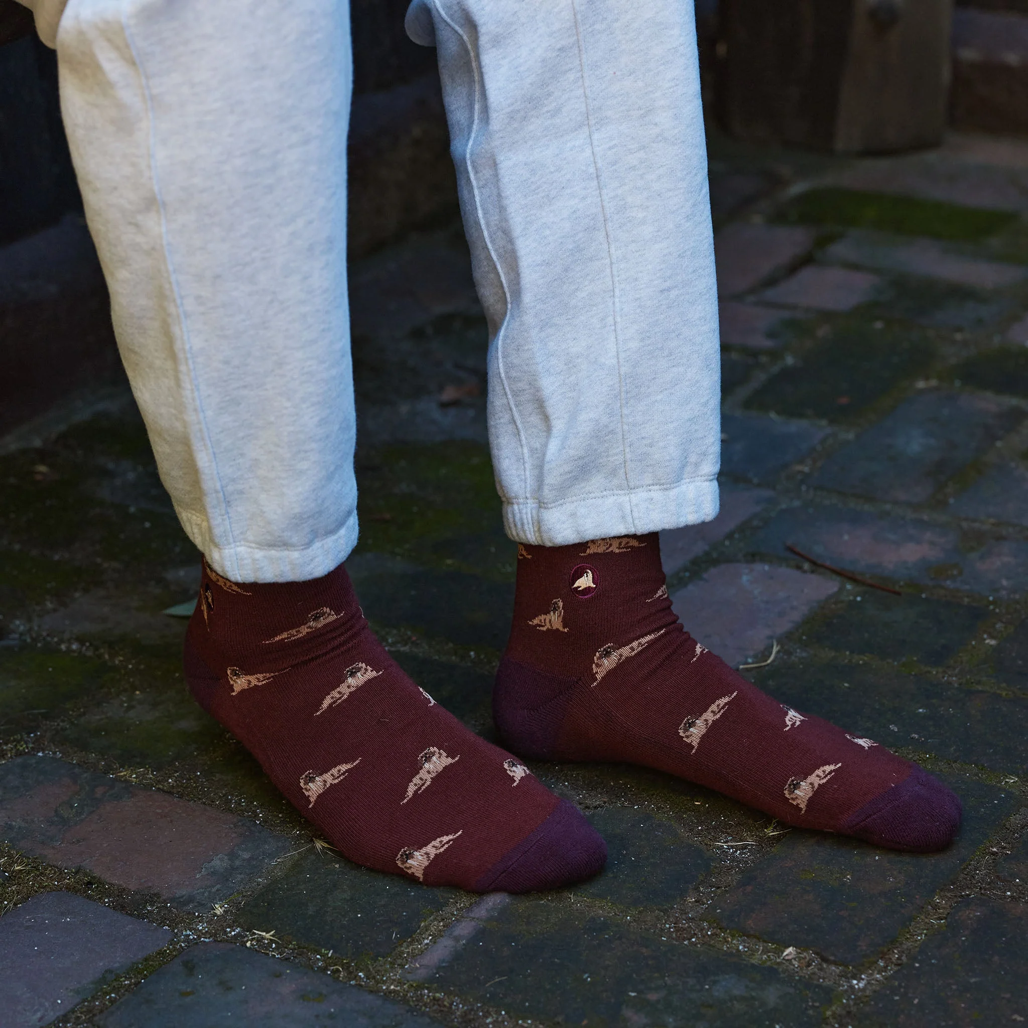 Socks that Protect Walruses - Image 3