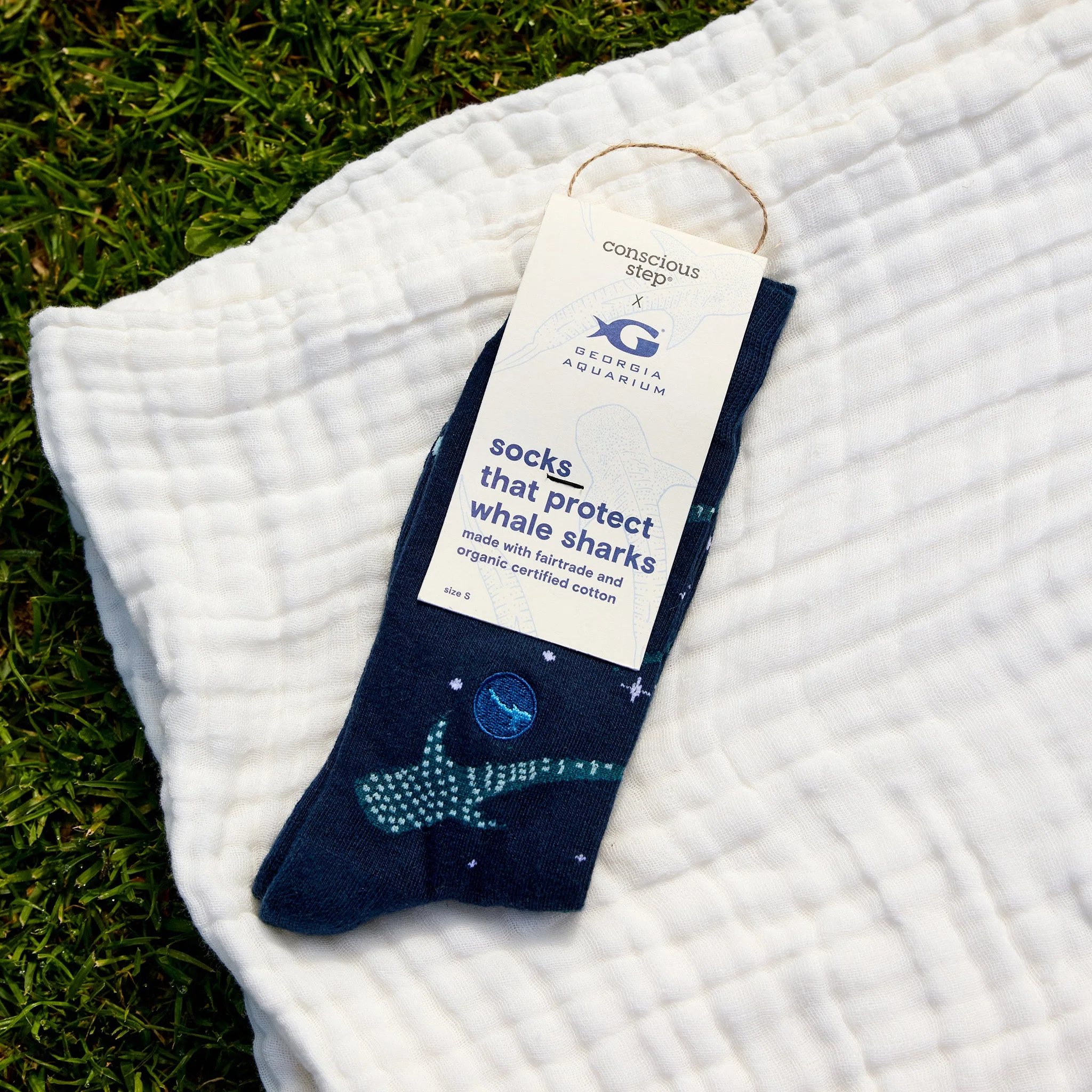 Socks that Protect Whale Sharks - Image 6