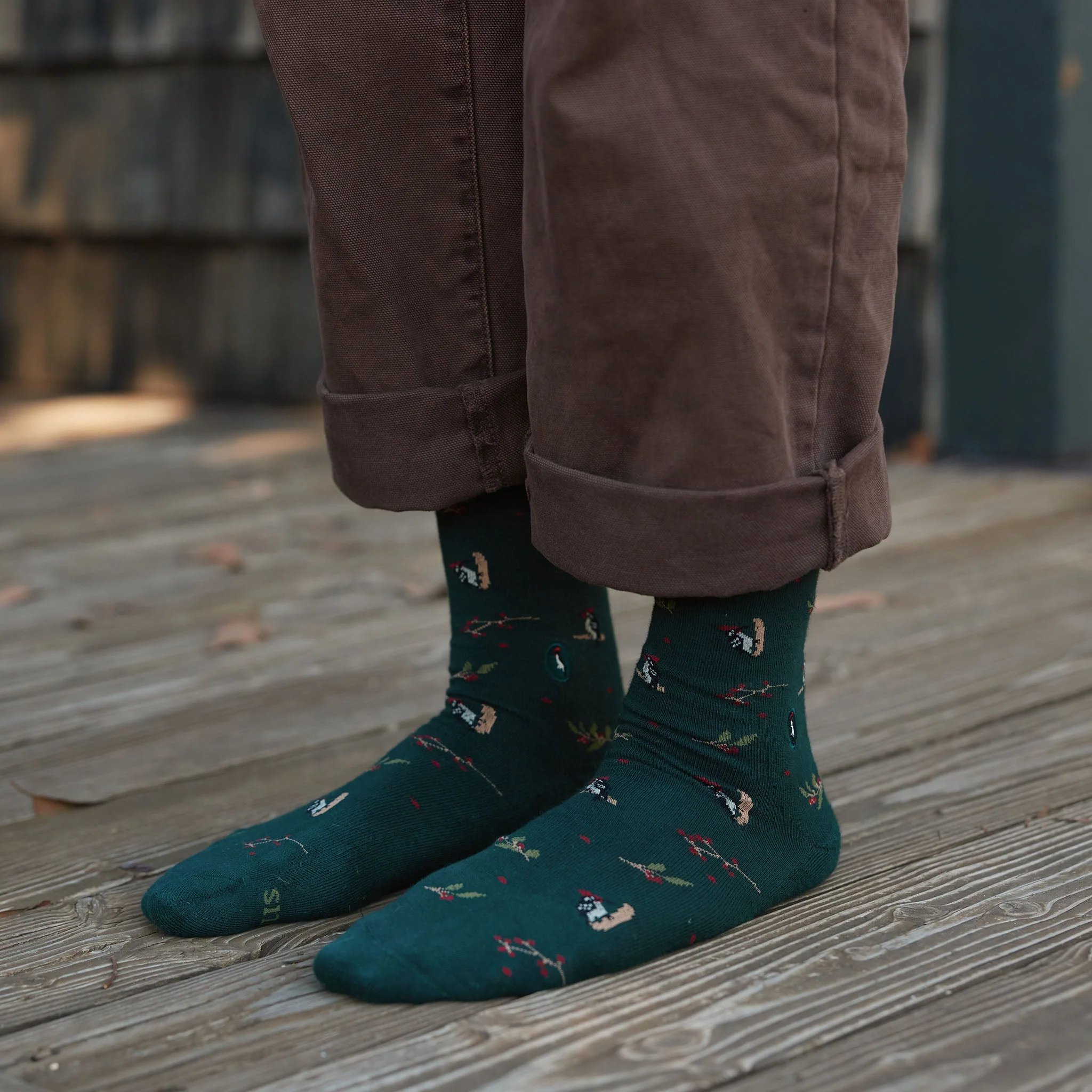 Socks that Protect Woodpeckers - Image 3