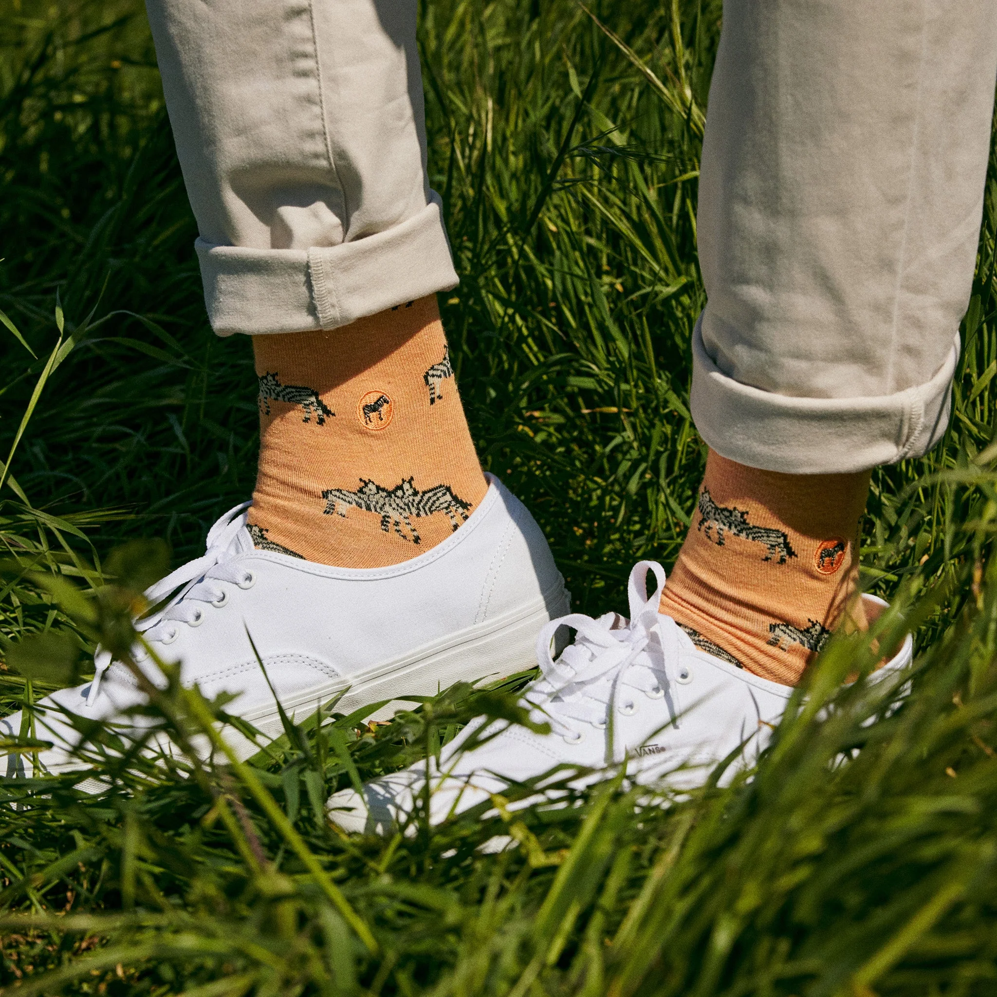 Socks that Protect Zebras - Image 3