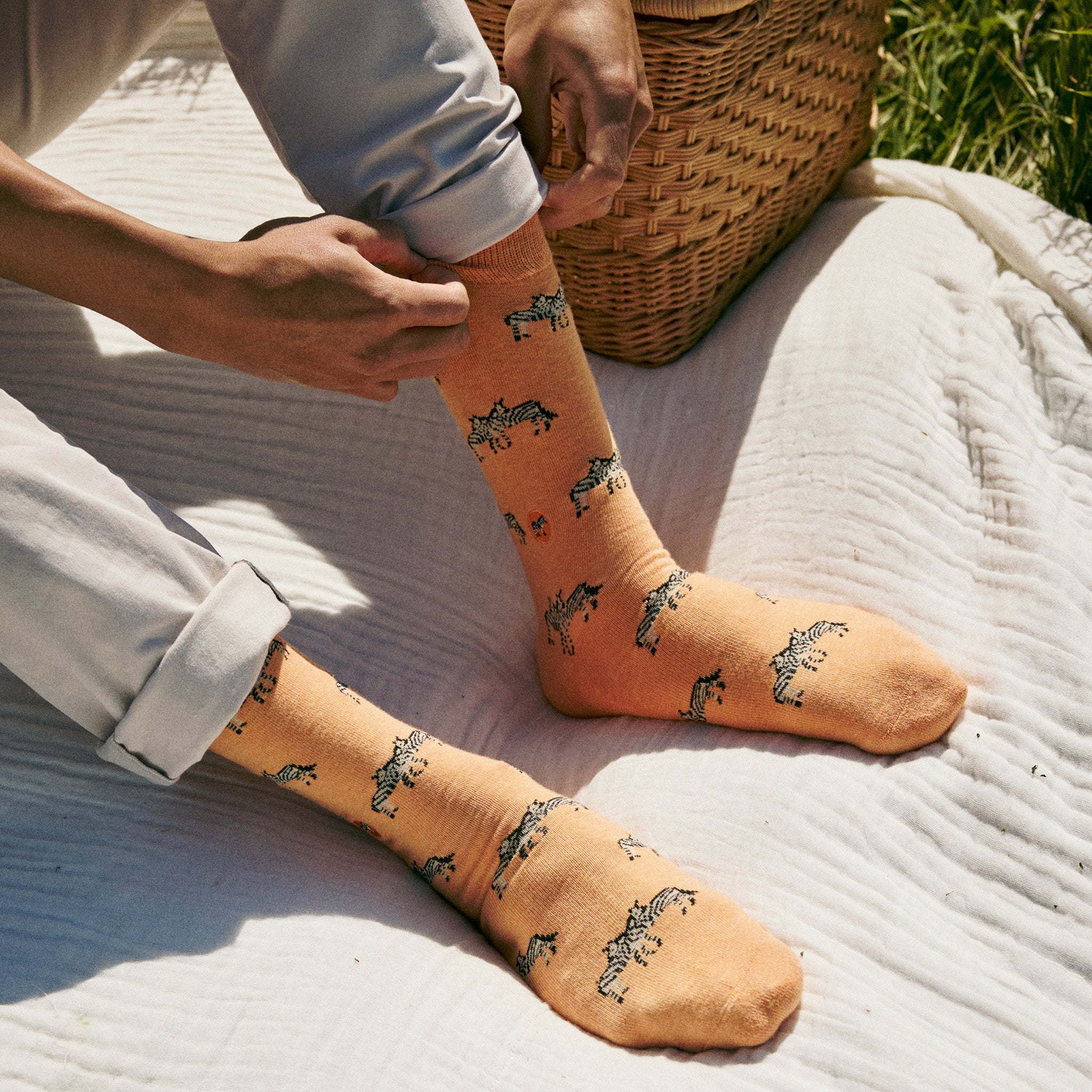 Socks that Protect Zebras - Image 4