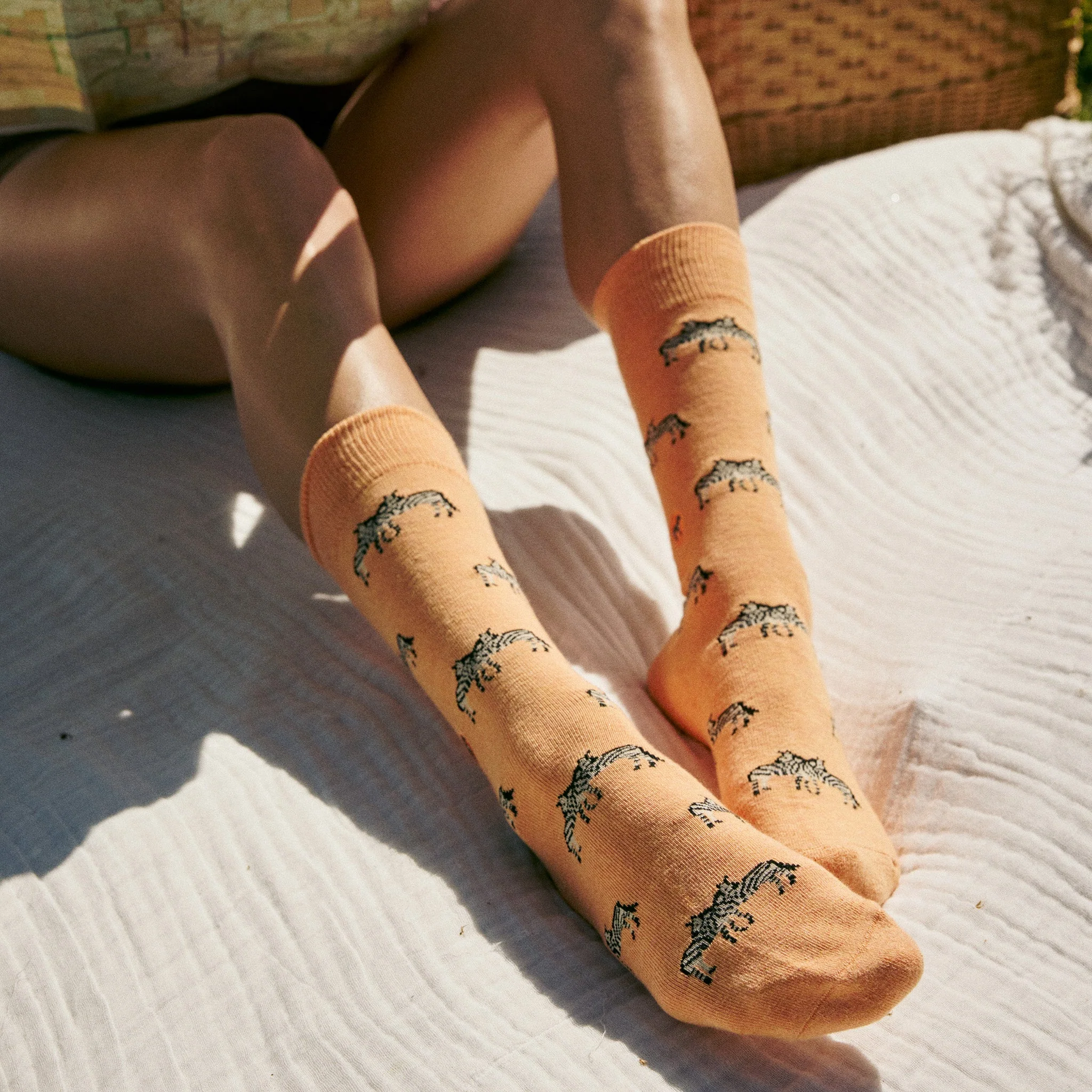 Socks that Protect Zebras - Image 5