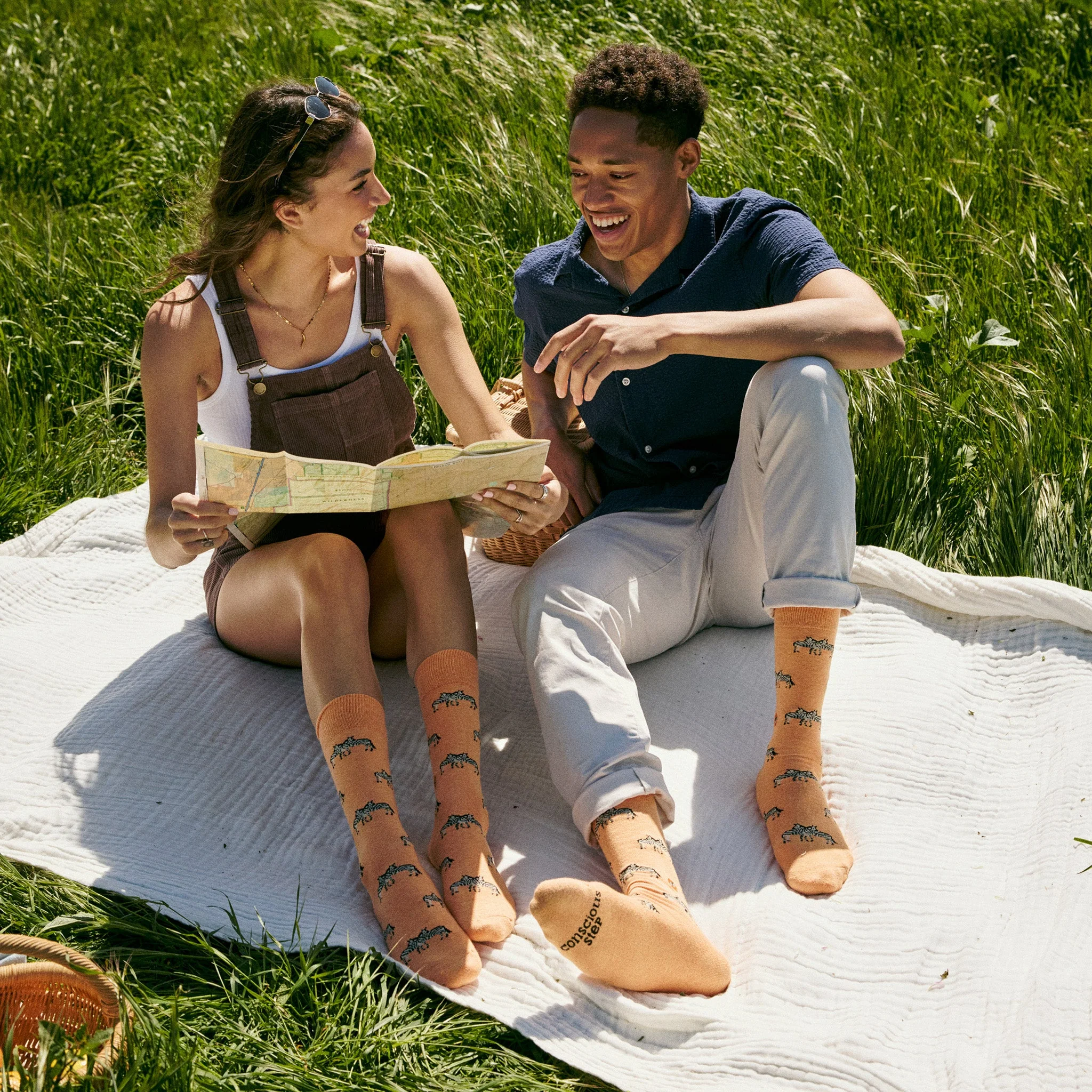 Socks that Protect Zebras - Image 6